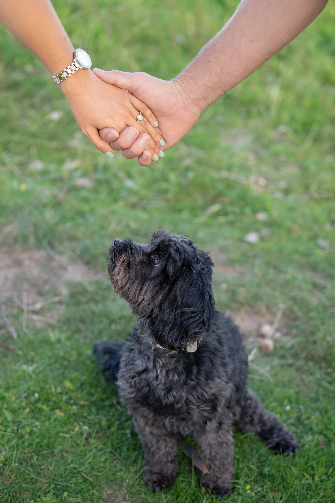 s+l-engagment-95.jpg