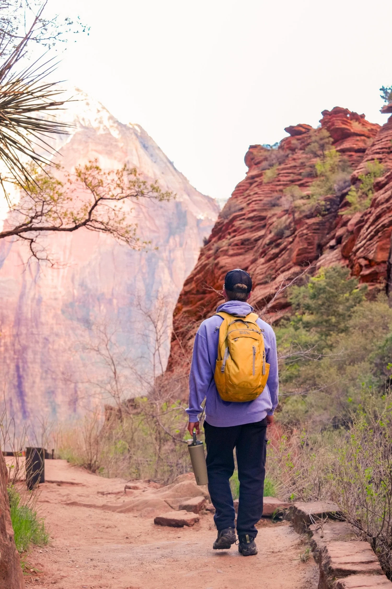 A person with a yellow backpack and a gray hoodie walking on a dirt trail surrounded by trees and red rock formations, with a mountain in the background.