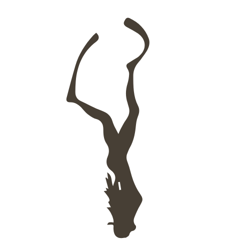 Silhouette of a woman doing a handstand, upside down with her legs extended upward.