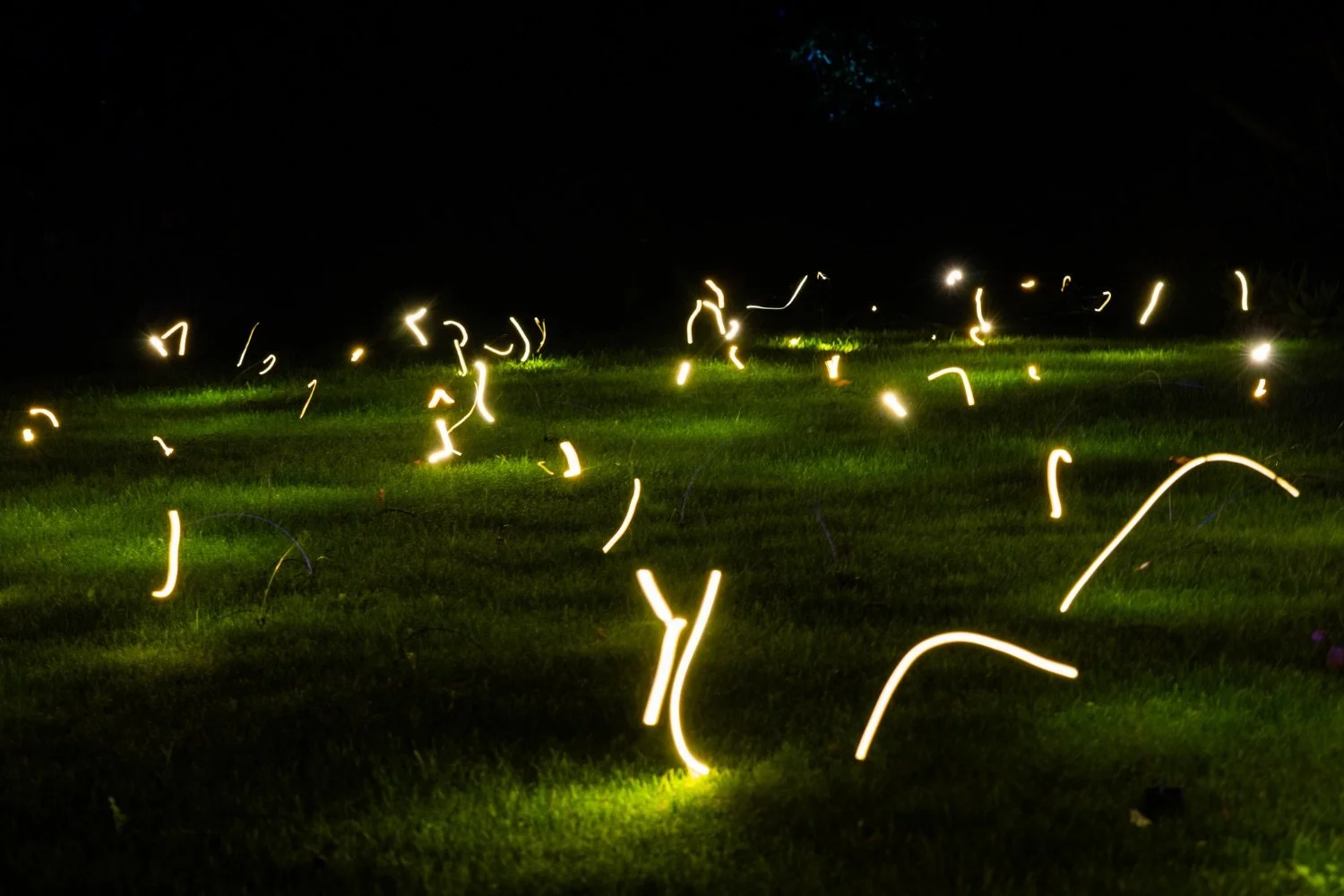 Sparklers burning on grass at night with light trails in the dark