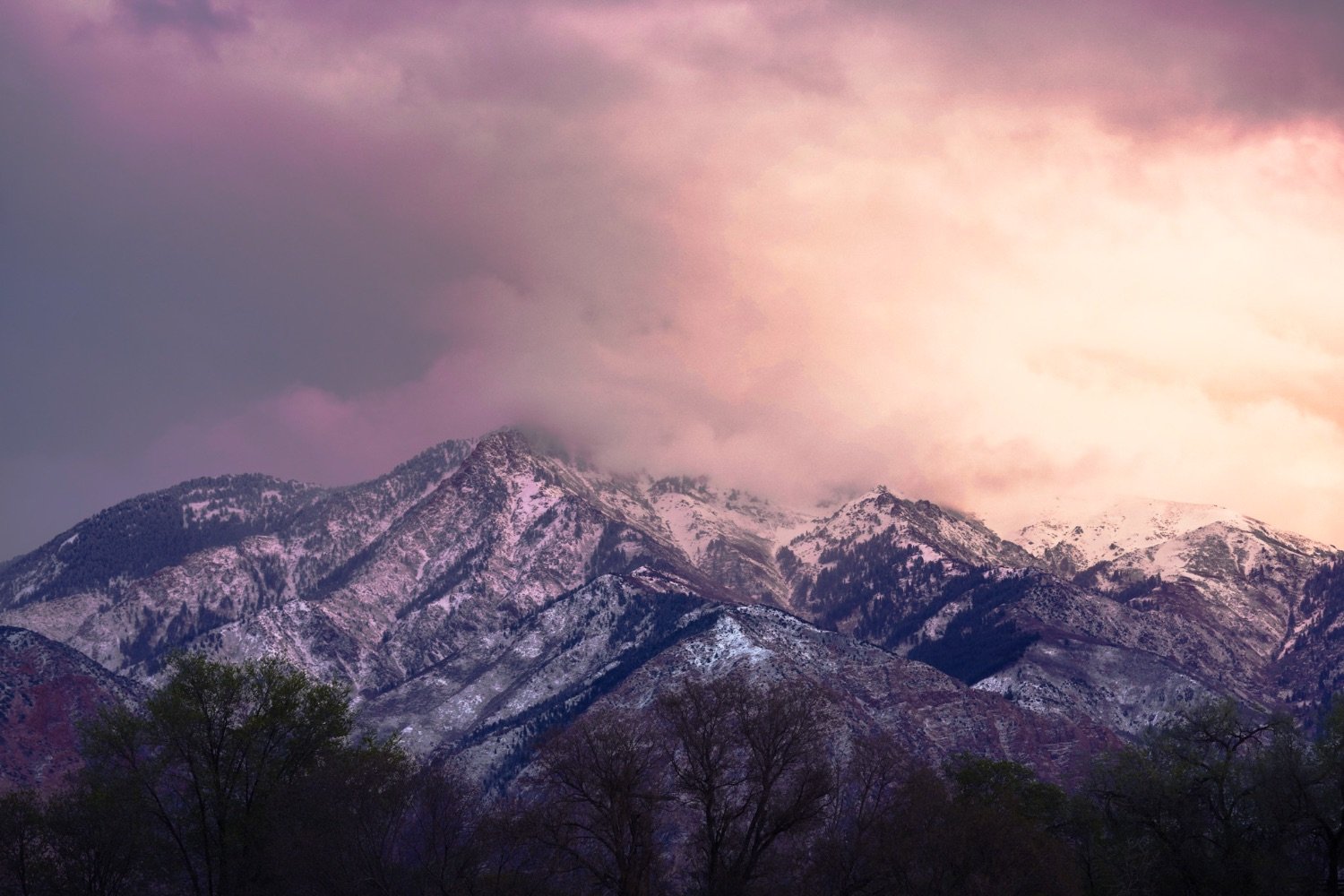 Snow-capped mountains under a cloudy sky with a pinkish hue during sunset or sunrise, and trees at the base.