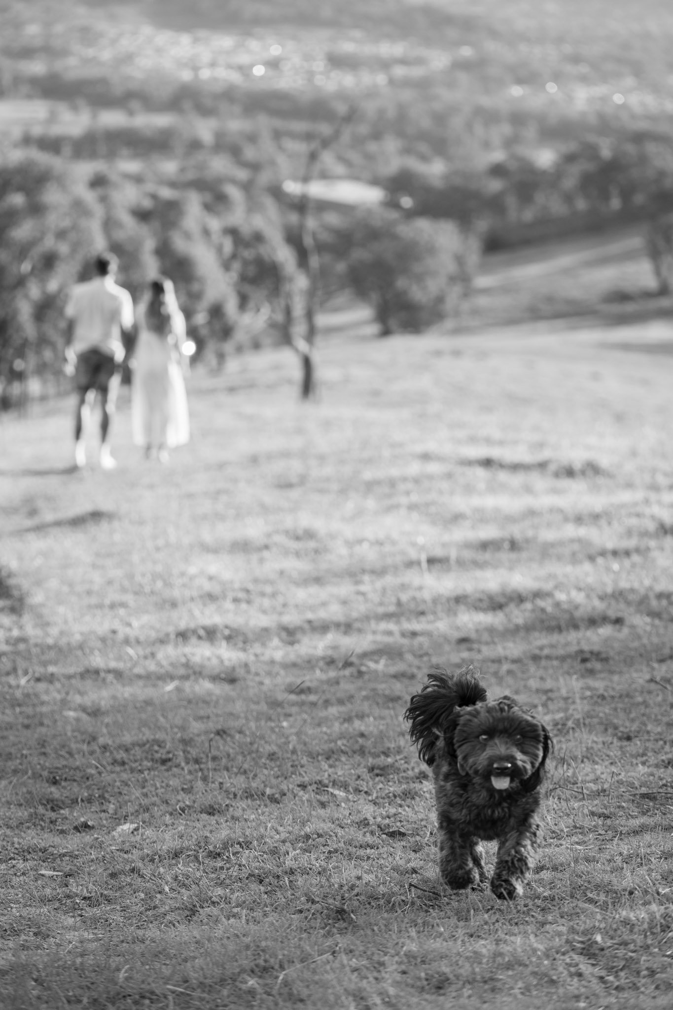 s+l-engagment-103.jpg