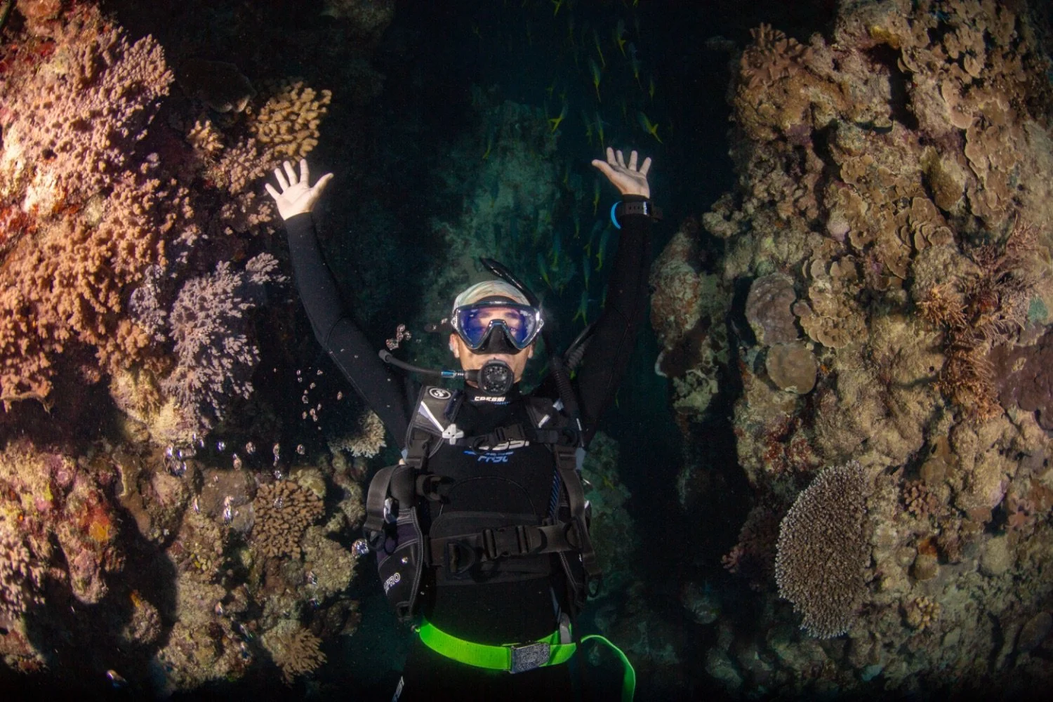 Scuba diver in black wetsuit exploring coral reef with various corals and fish, posing with arms raised underwater.