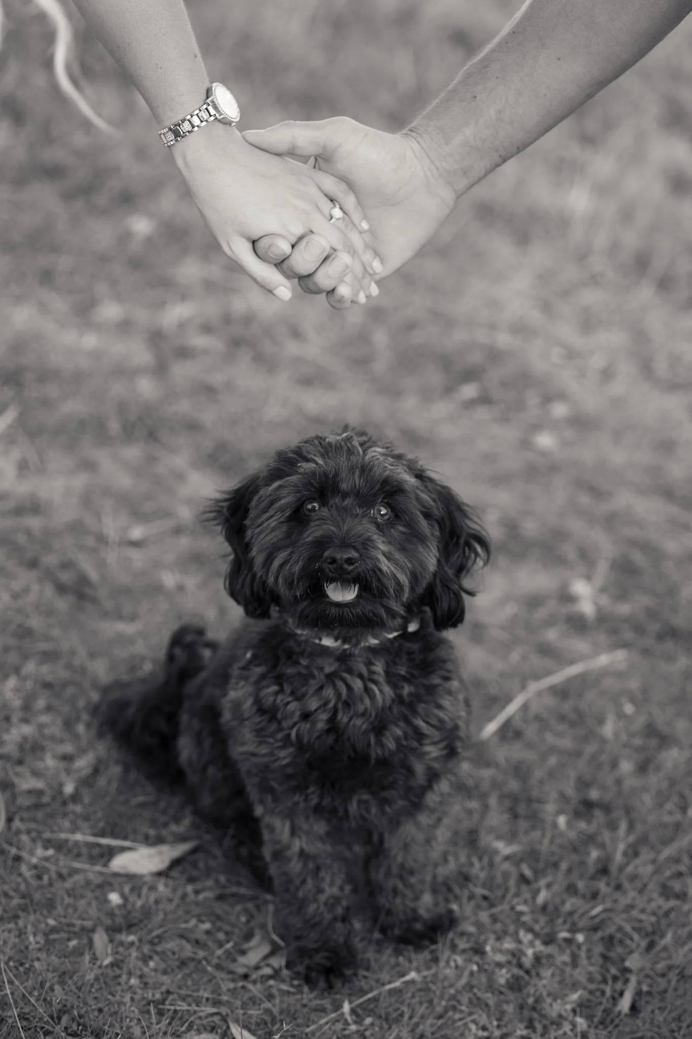 s+l-engagment-26.jpg
