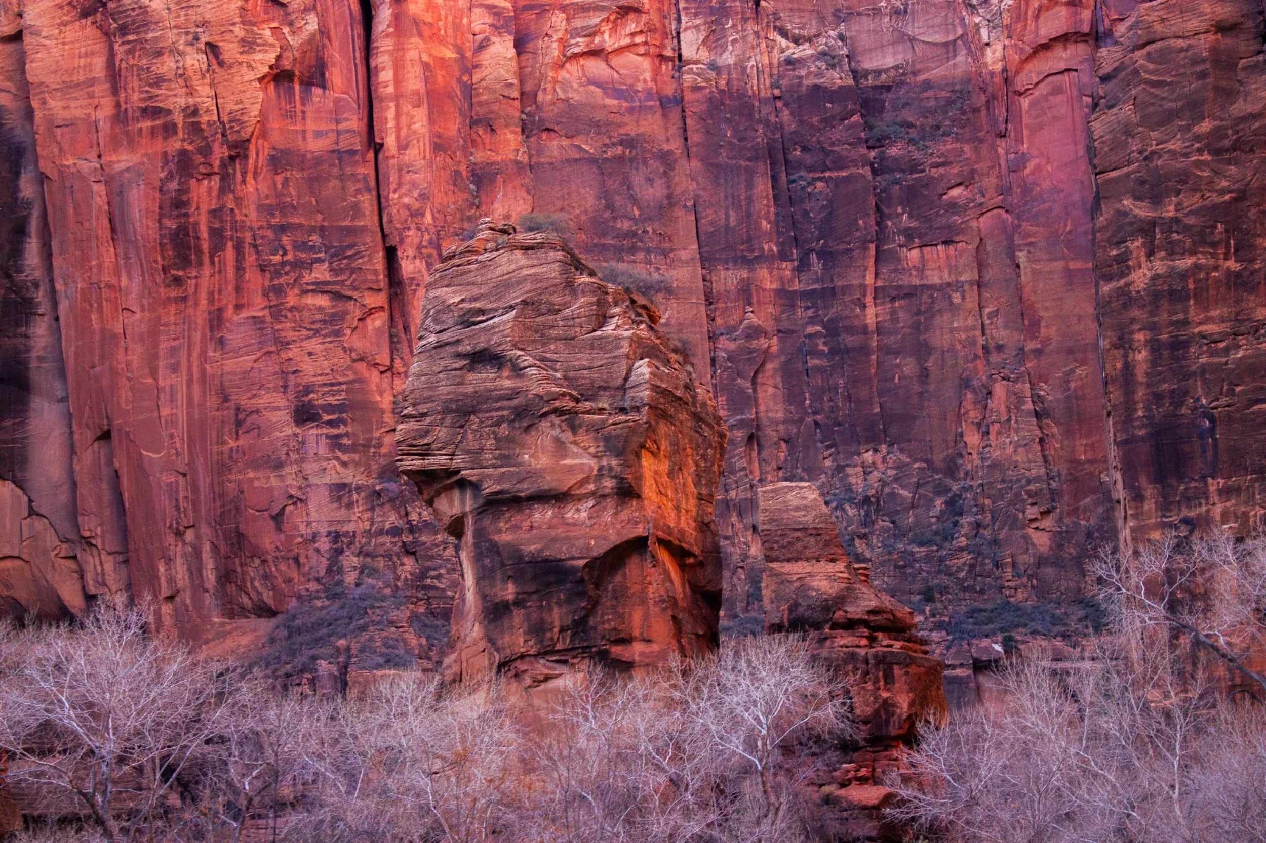 Red rock canyon wall with a large rock formation and leafless trees at the base.