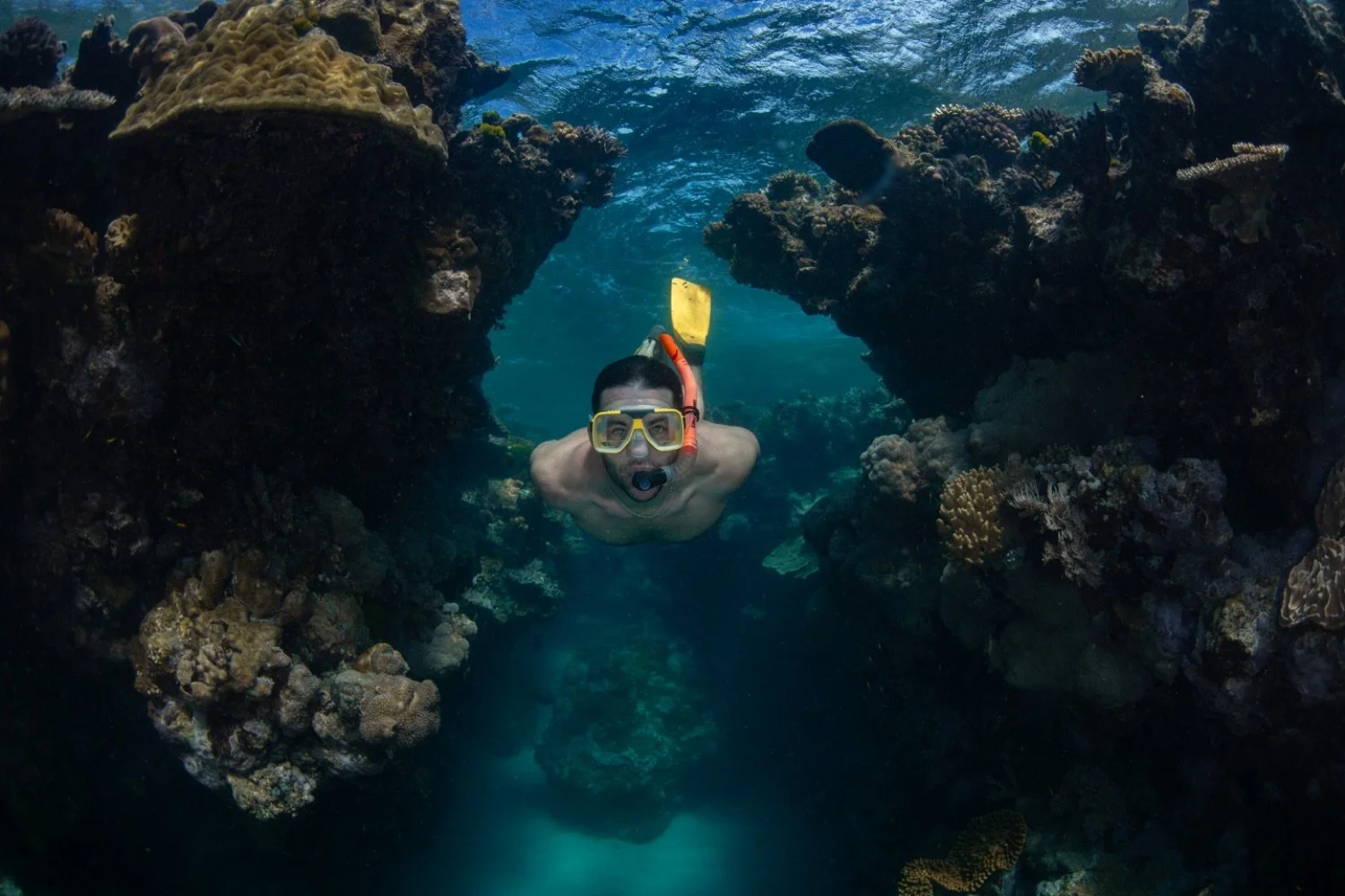 A man snorkeling underwater between coral formations with a snorkel mask and fins.