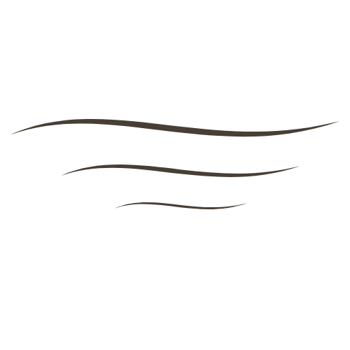 Silhouette of a whale swimming in the water with waves above.