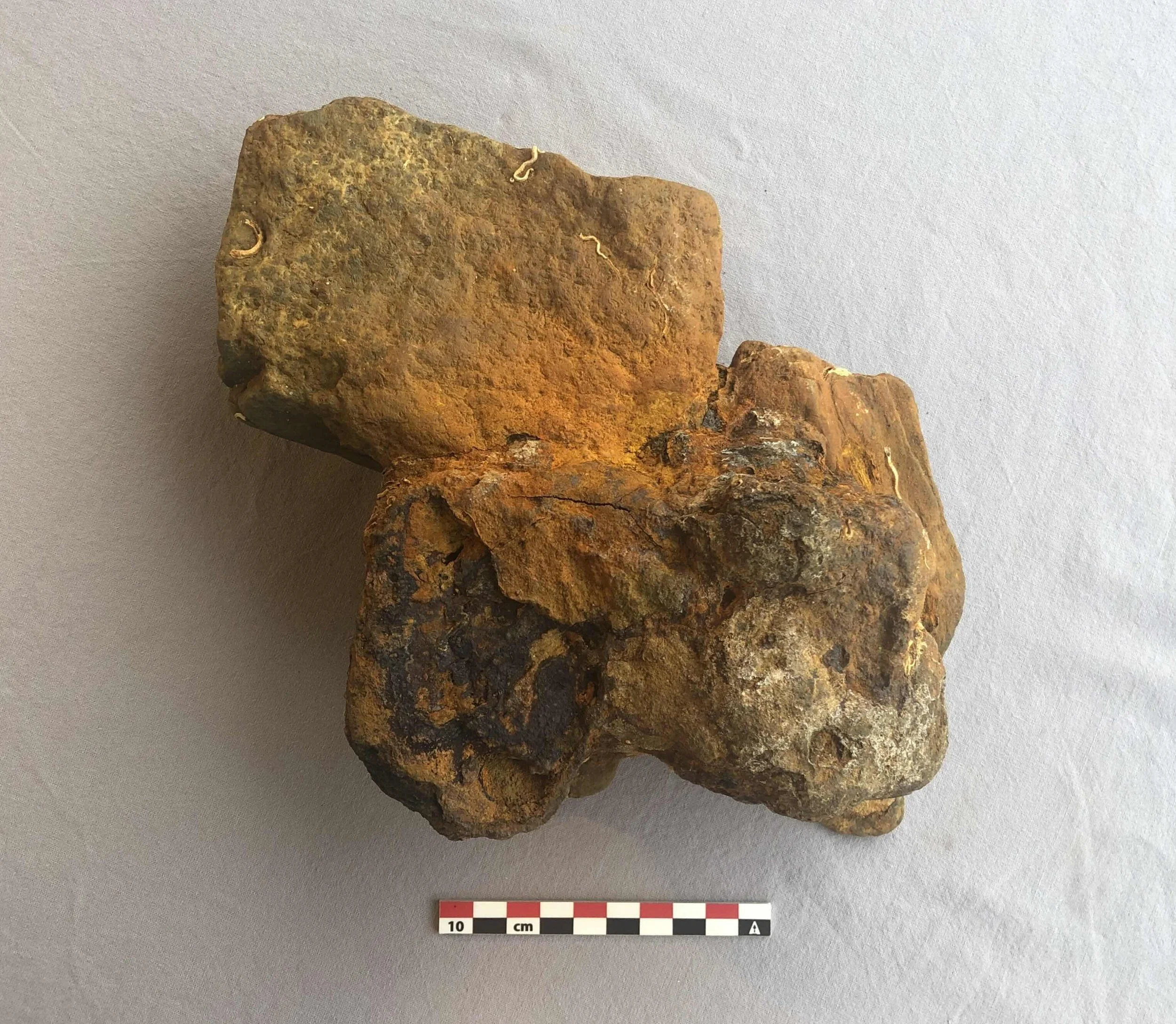 Et gammelt, rustent metallstykke med en mørk, korrodert overflate, plassert på en grå bakgrunn med en målebånd ved siden av for skala.