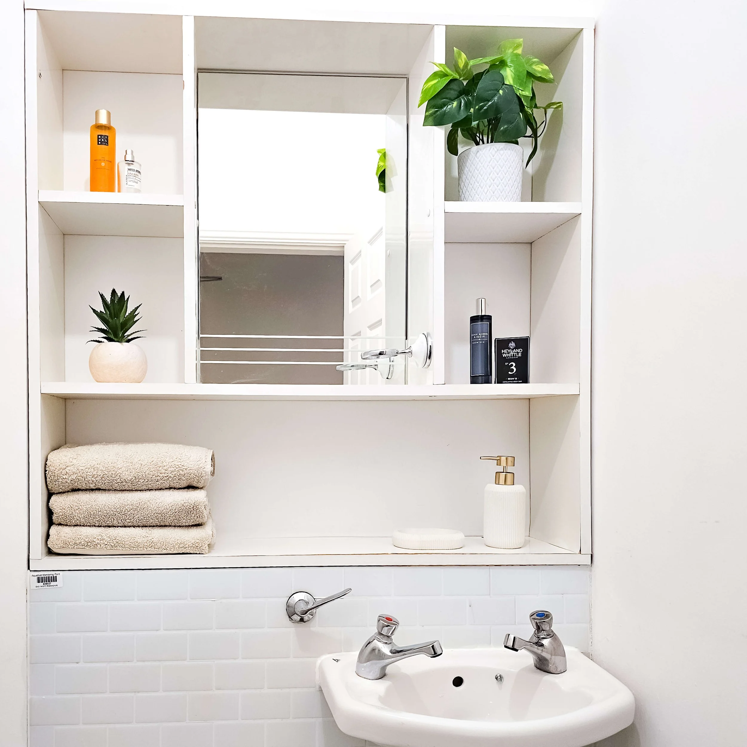Bathroom vanity with mirror, decorated with potted plants, towels, soap, and toiletries.