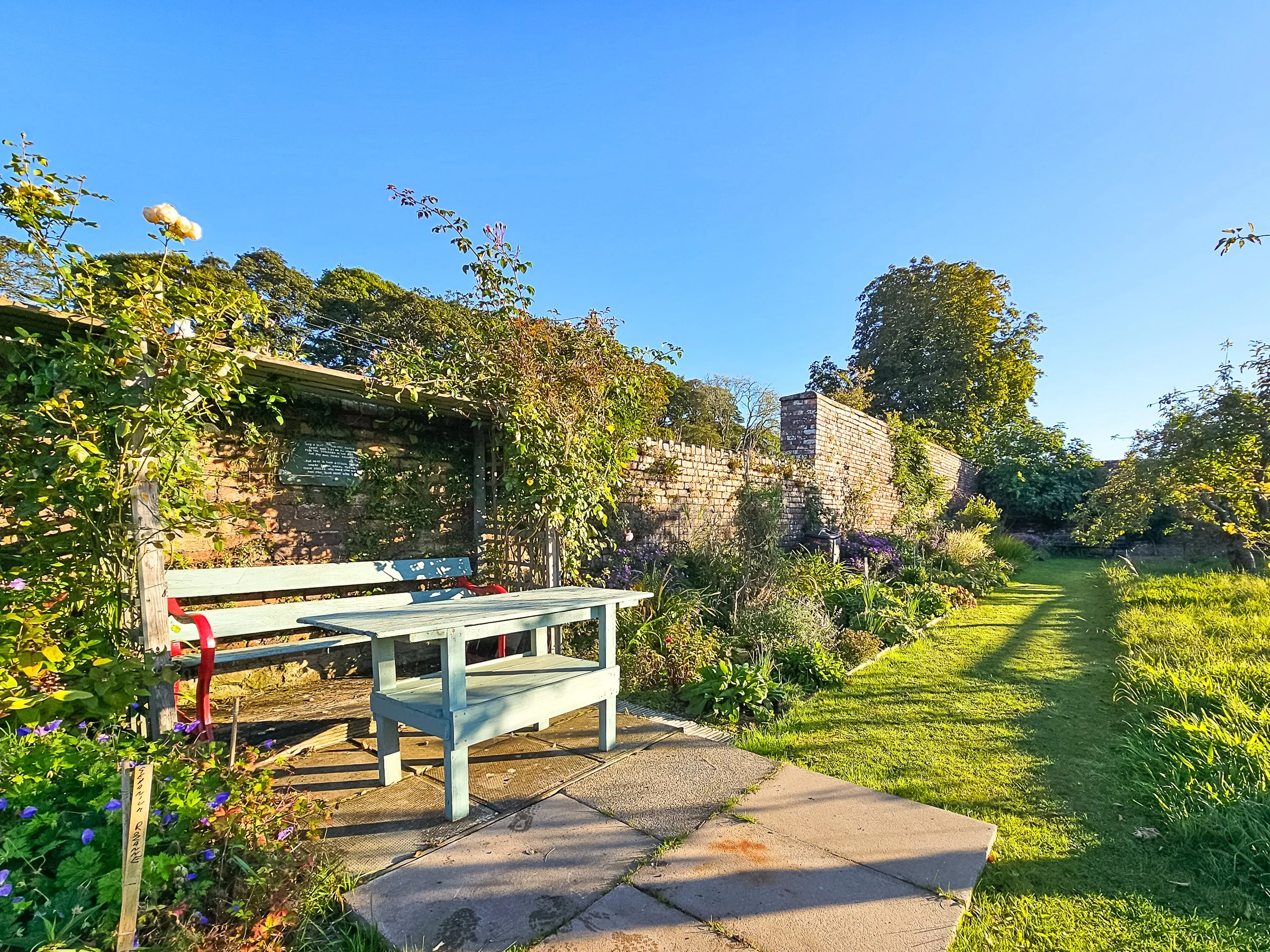 A garden scene with a light blue bench on a concrete path, surrounded by green plants and flowers. A brick wall with greenery and flowers runs along the background under a clear blue sky.