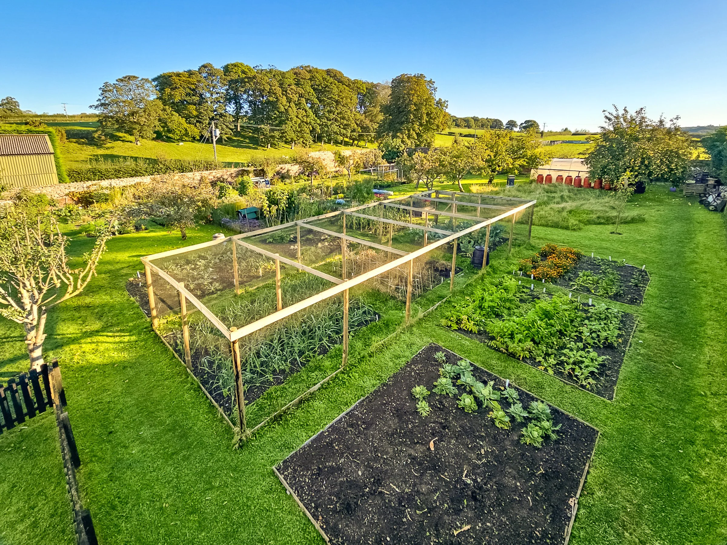 A bird's-eye view of a large garden with vegetable plots, a greenhouse, and surrounding trees on a sunny day.