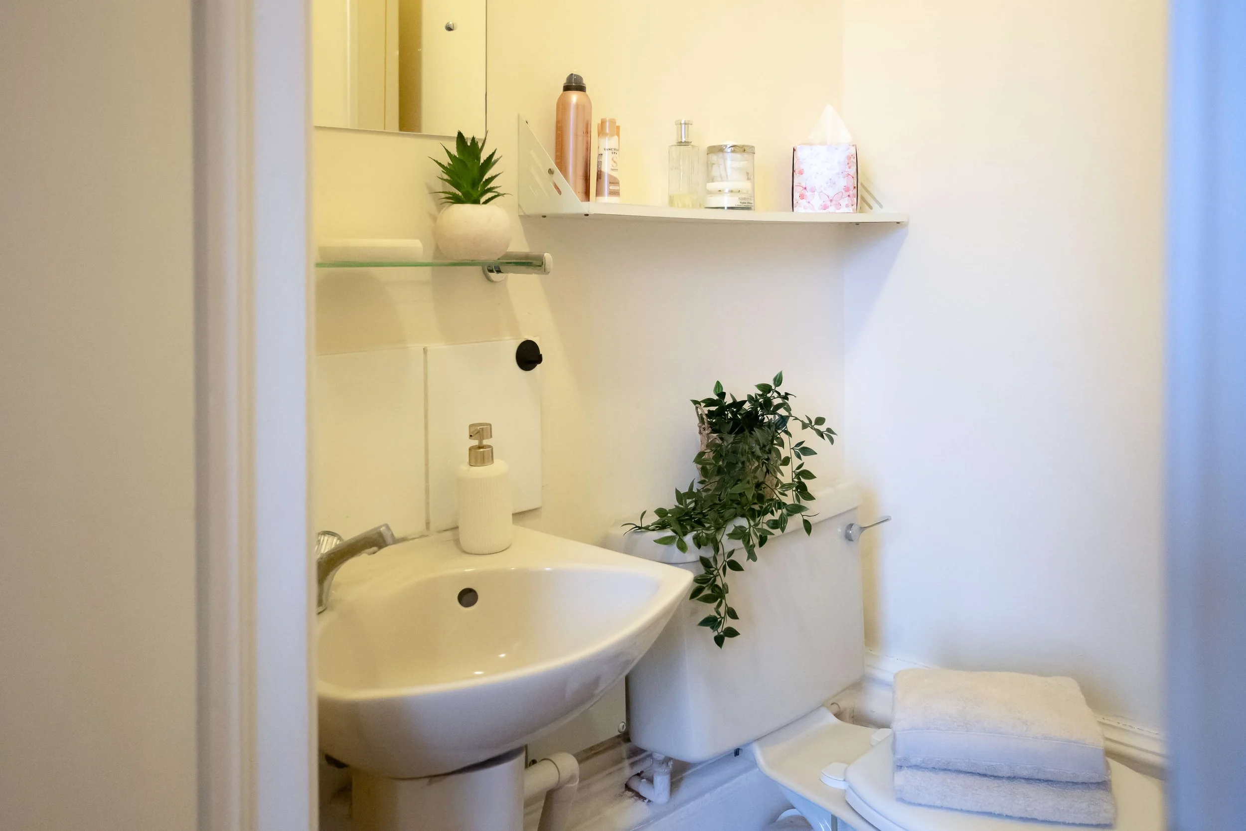 A small bathroom with a white sink, a toilet with a green plant on top, a shelf with toiletries, a potted plant on the toilet tank, a rolled towel on the toilet lid, and a mirror above the sink.