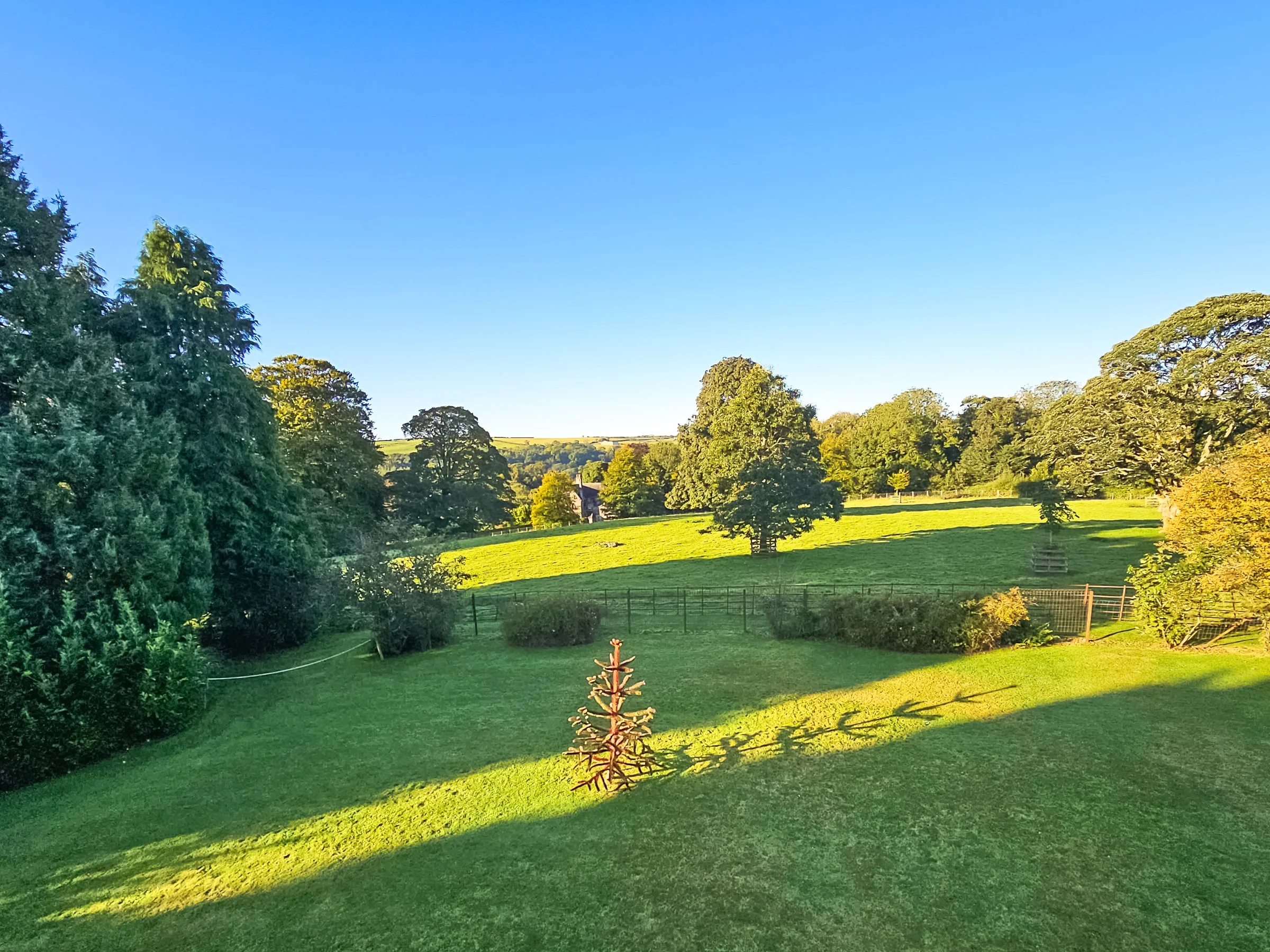 A lush green backyard with trimmed grass, scattered trees, and dense foliage on the left side. The sky is clear and blue, and the yard is enclosed by a fence. Sunlight creates long shadows across the grass.