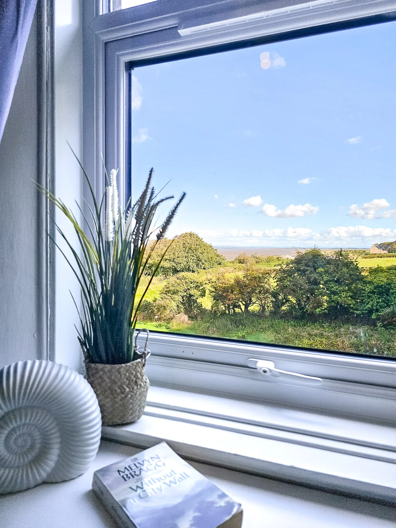 View of a landscape through a window with a potted plant, a white seashell sculpture, and a book on the windowsill.