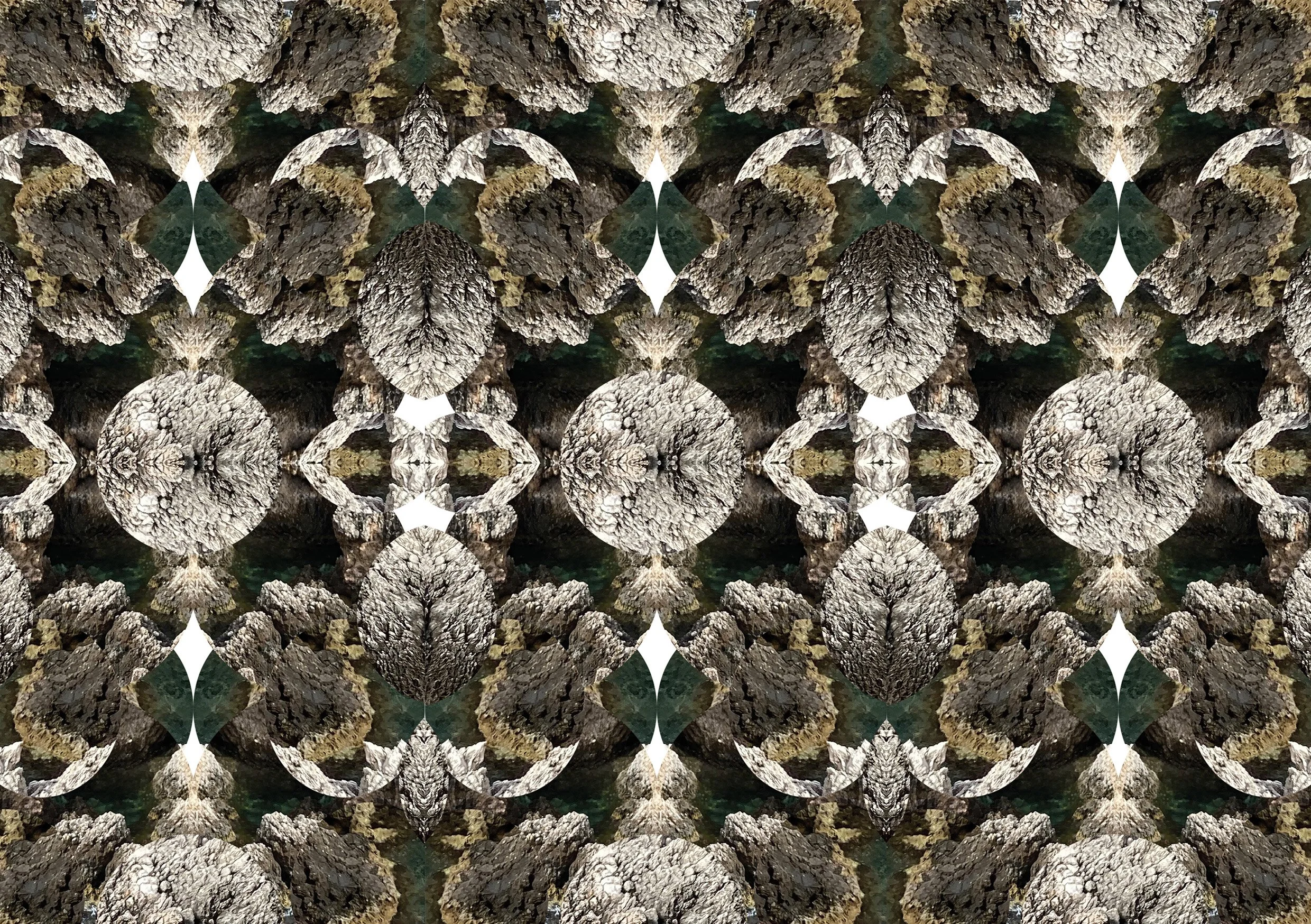 A mirror image pattern of tree bark and rocks with symmetry and repetition.