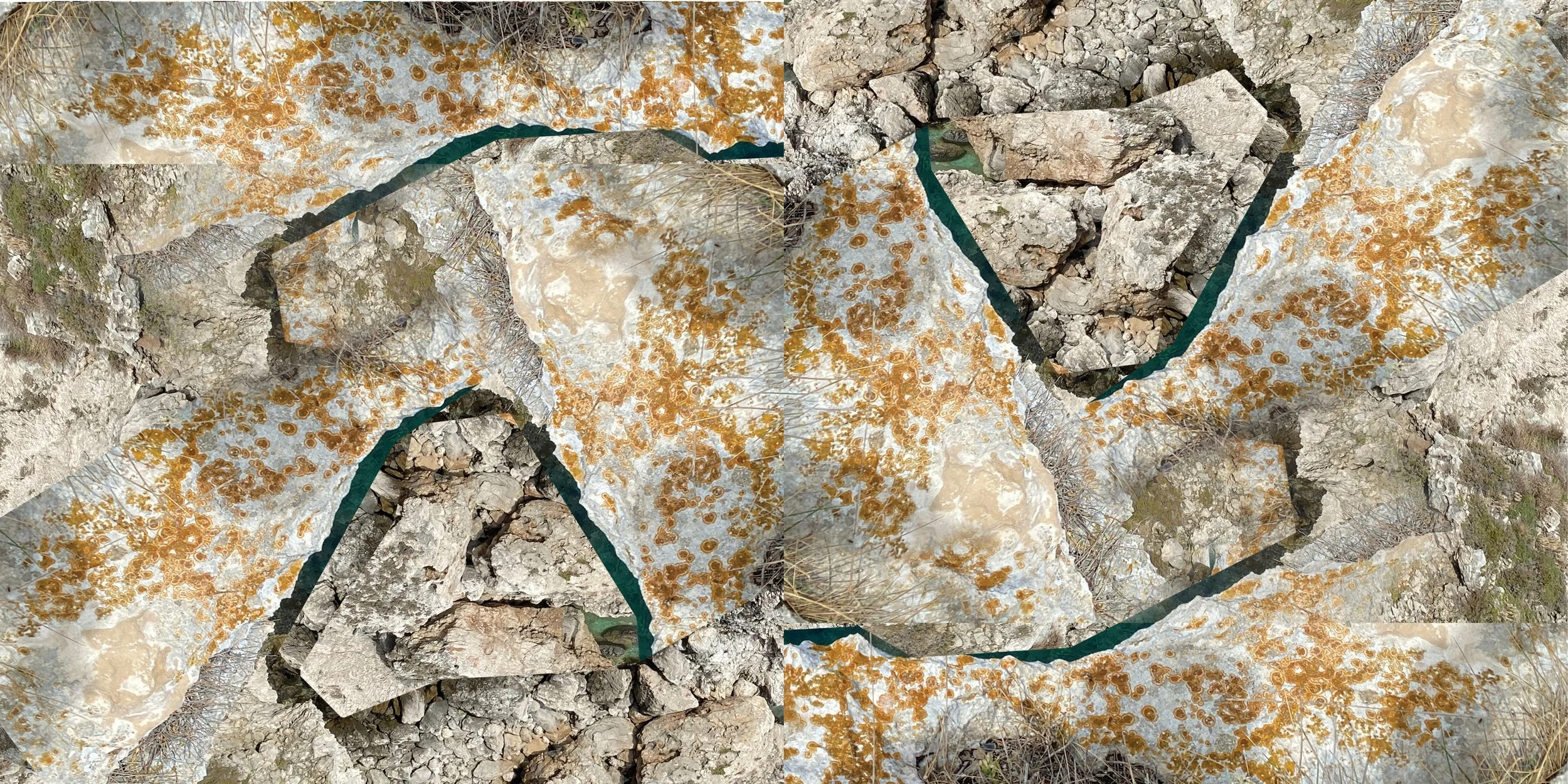 Collage of multiple rocks and stones with orange and beige lichen growth, some rocks have green edges.