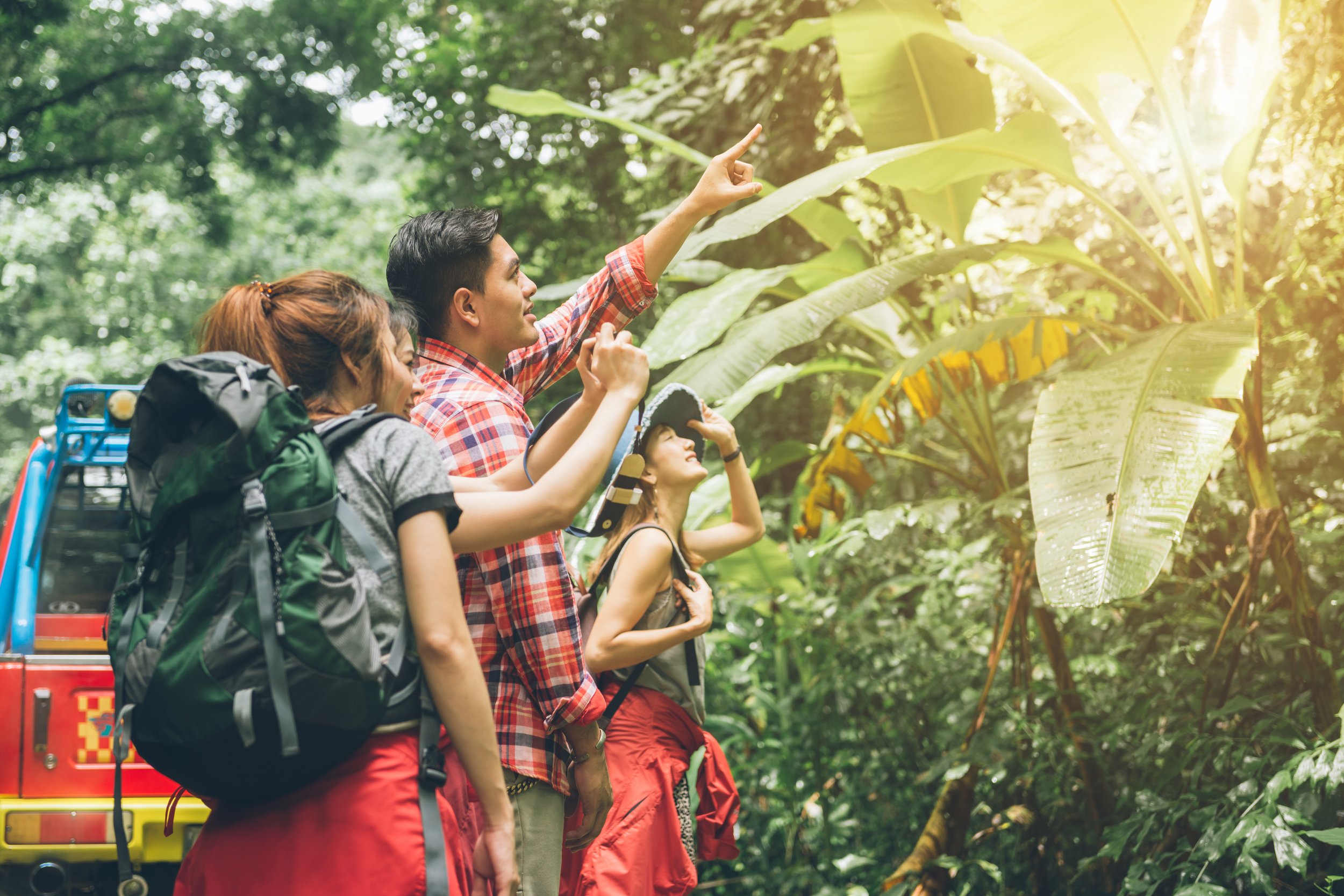 A group of people with backpacks on a jungle tour, pointing at big tropical leaves, with sunlight filtering through trees.