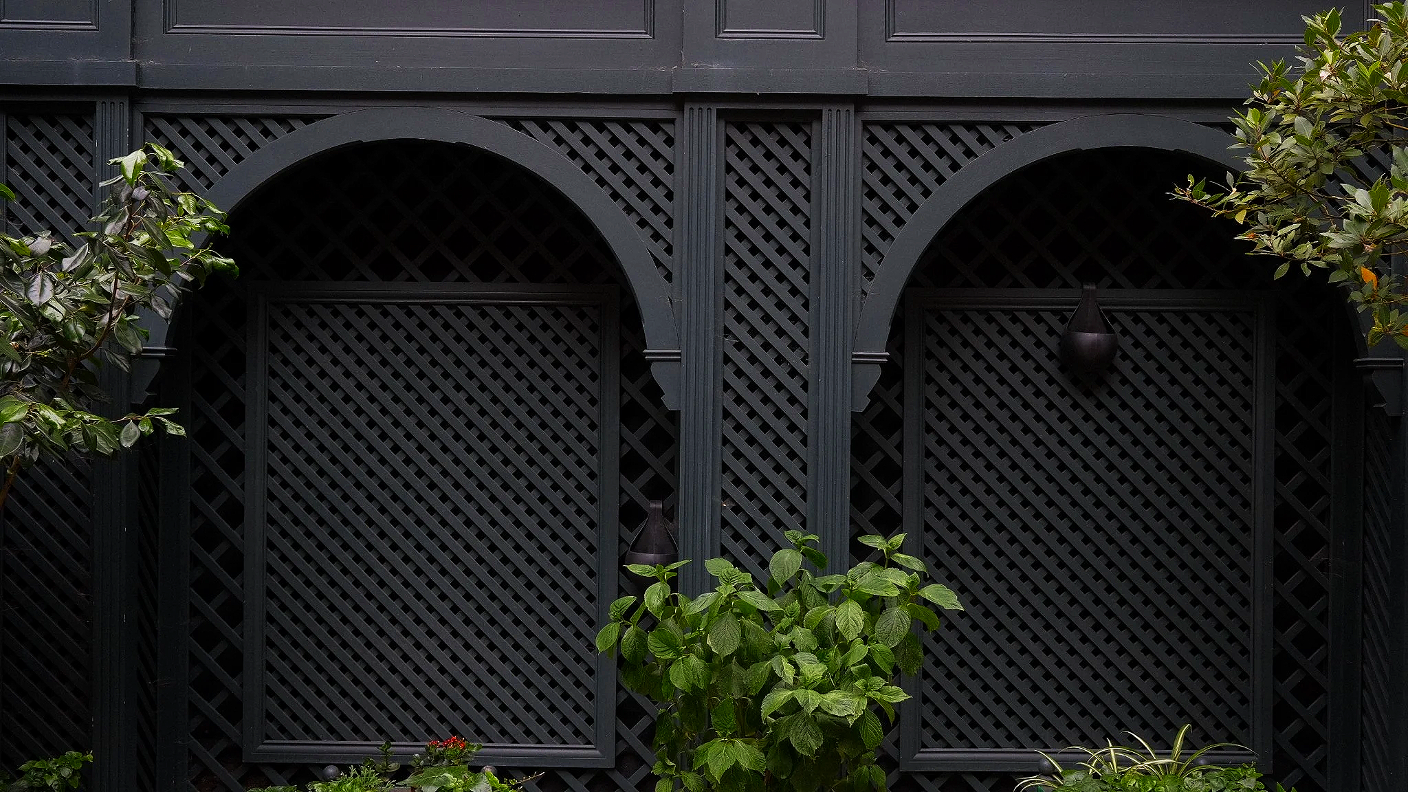 TRELLIS.png