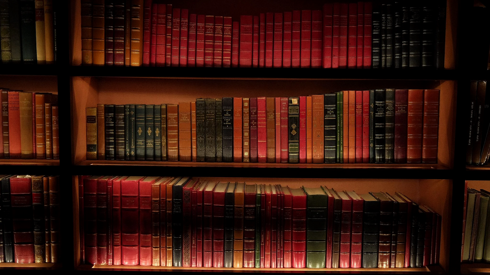 BOOKSHELF+-+FACE.png