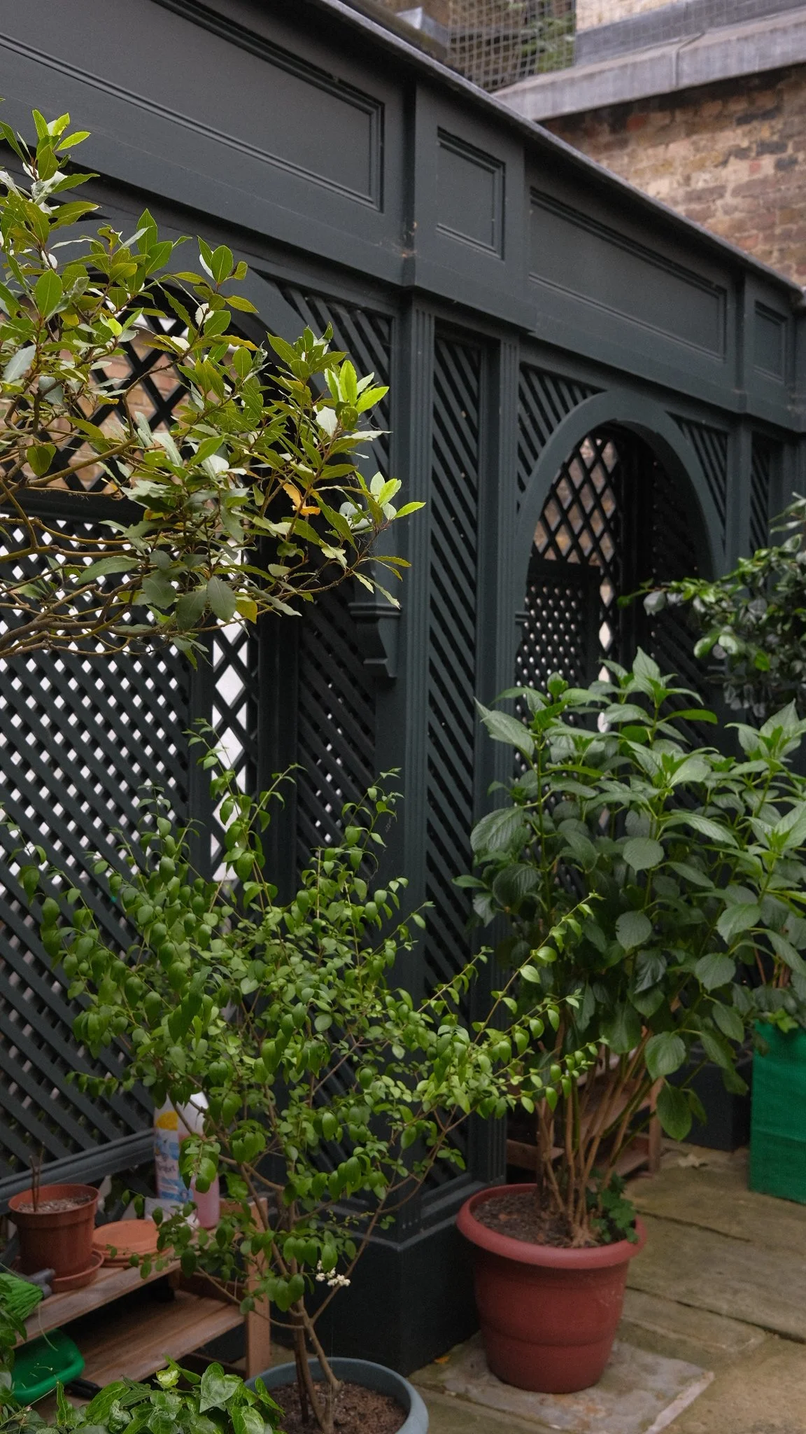 GARDEN.JPG