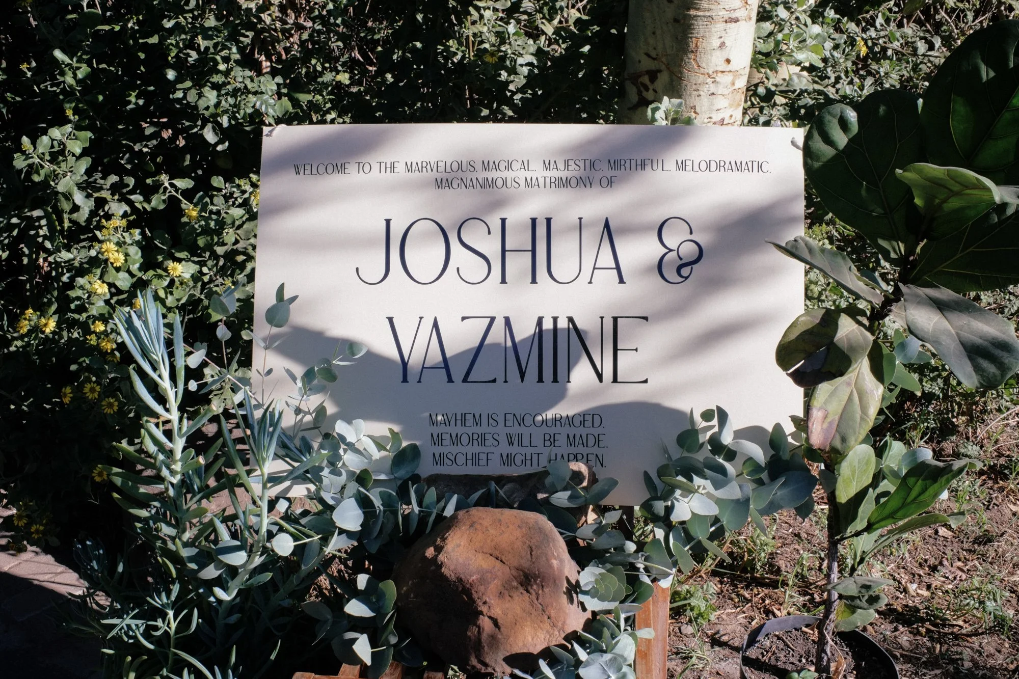 Website - josh and yaz wedding.jpg