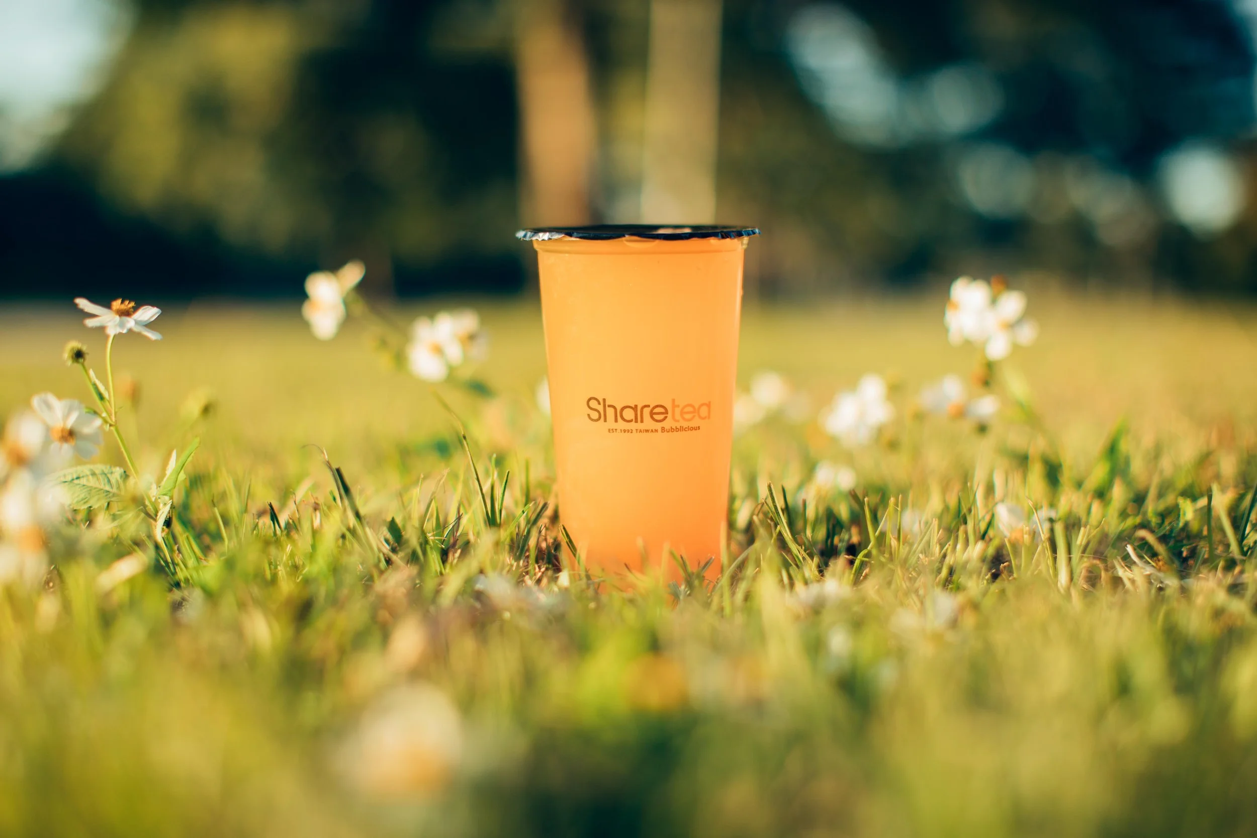 Is Bubble Tea Vegan?