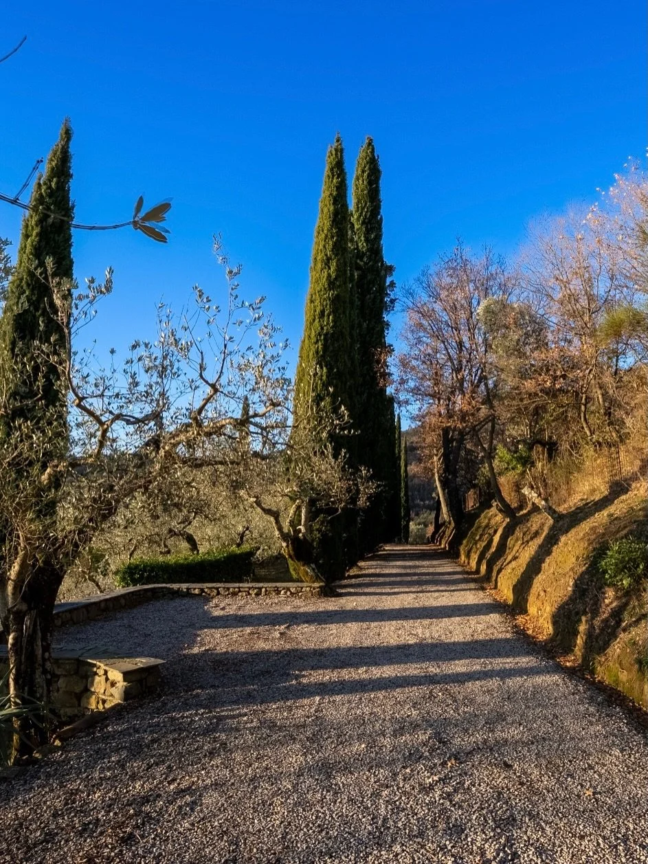 Spring is in the way in Tuscany! Did you know we&rsquo;re only a 45 minute walk from Cortona? Head along this path and through the woodland and you&rsquo;ll reach the main road which leads you to the parterre, the swimming pool and tennis 🎾 club.

#