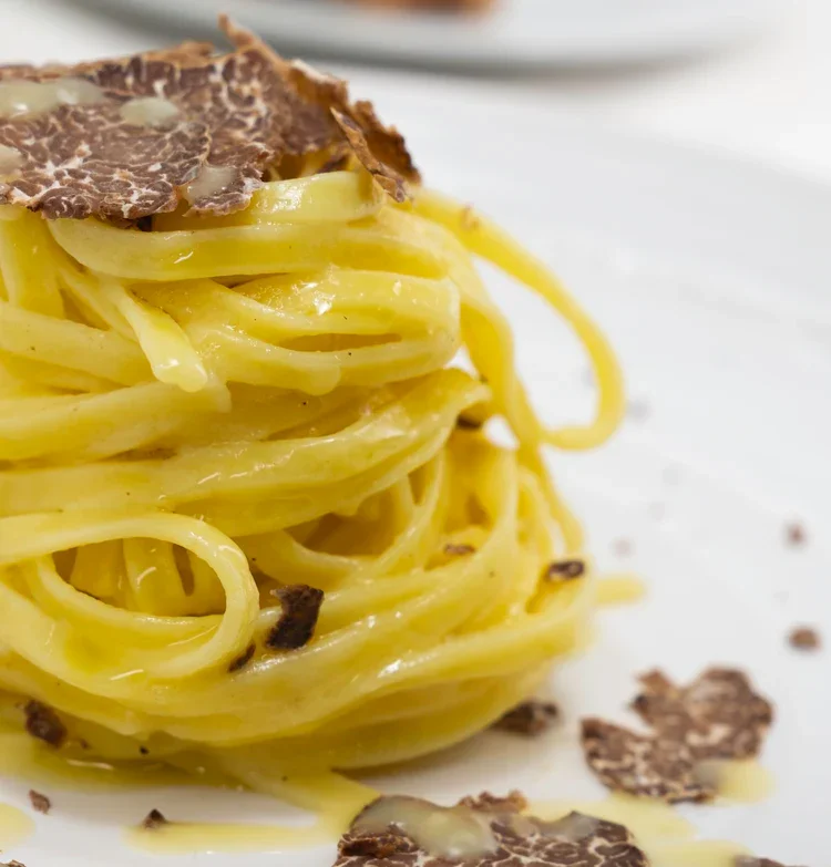 A Day with Tartufi Bianconi: From the Woods to the Table