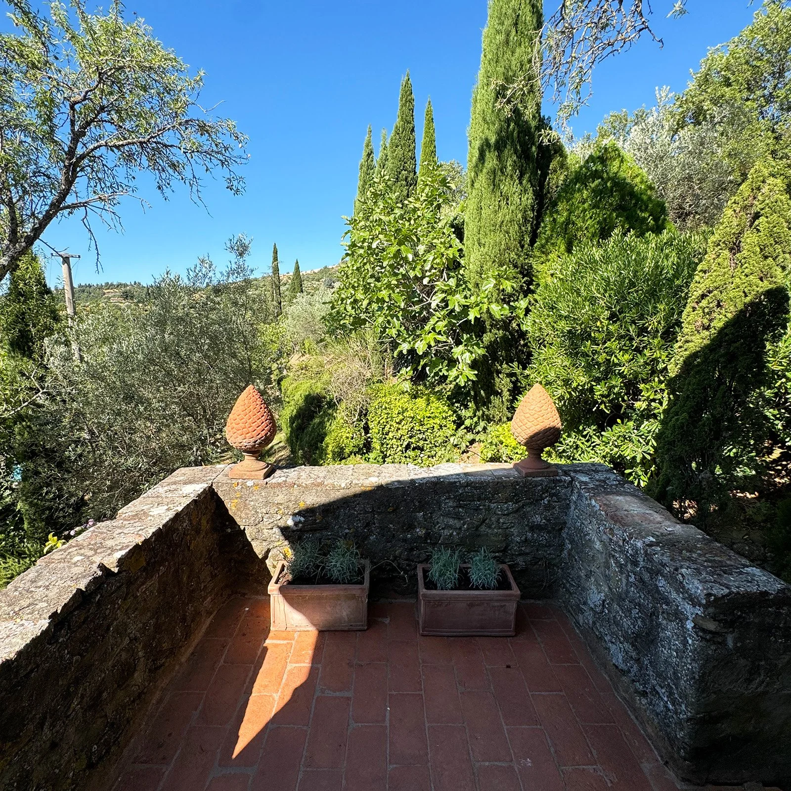View of a garden terrace with two rectangular plant pots containing lavender, surrounded by various tall, lush green trees and bushes under a bright blue sky.