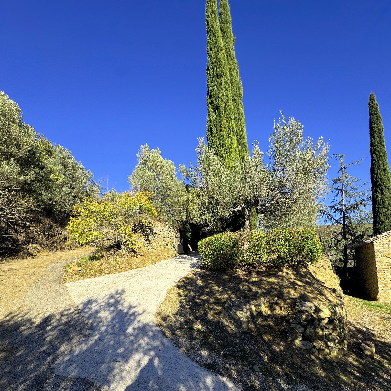 A stone pathway leading into a lush garden with tall cypress trees, Mediterranean-style bushes, and a stone building wall under a clear blue sky.