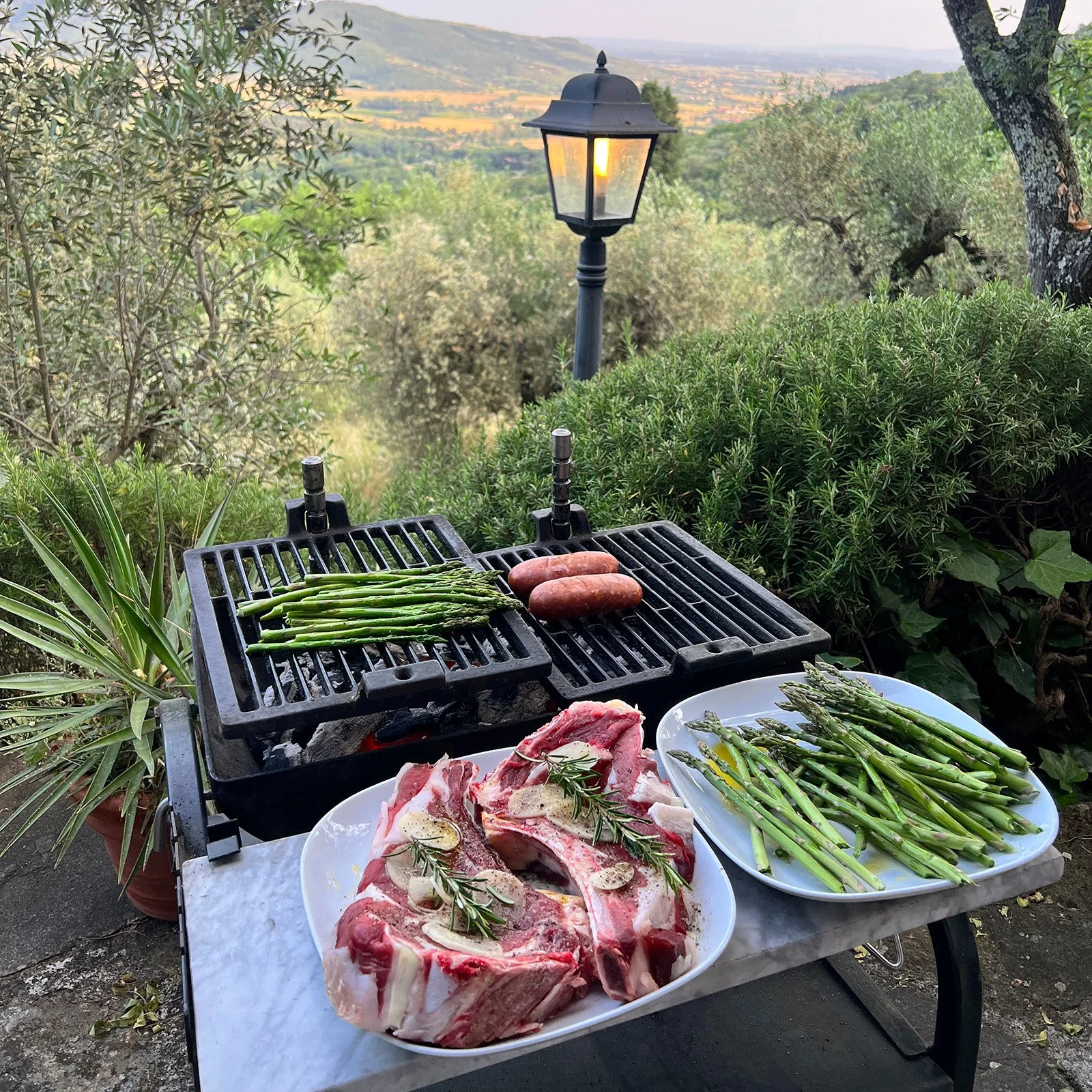 Outdoor barbecue setup with raw meat, steaks garnished with herbs, and vegetables including asparagus and sausages on a grill, with a scenic countryside view and a lamppost in the background.