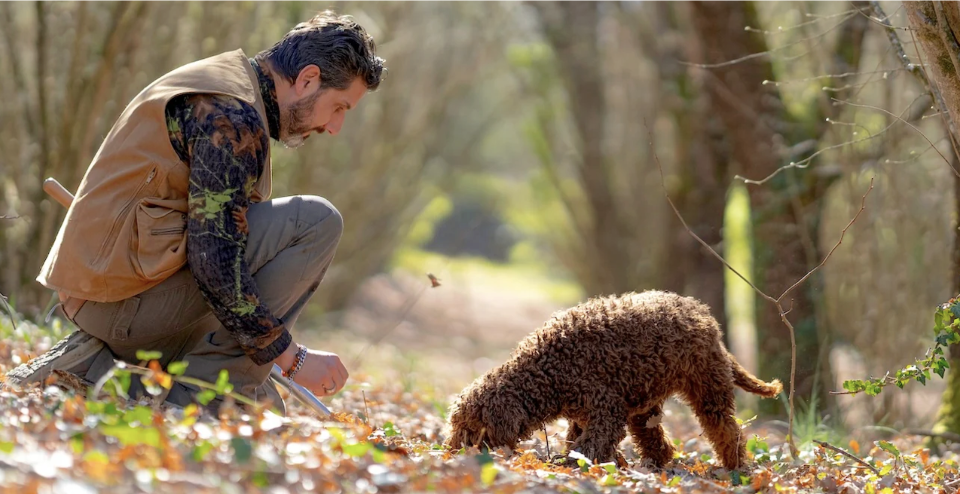 Truffle Hunting in Umbria