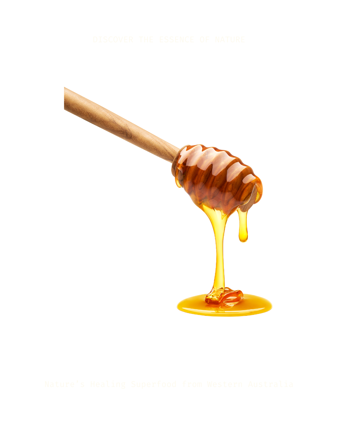 Close-up of honey dripping from a honey dipper against a white background.