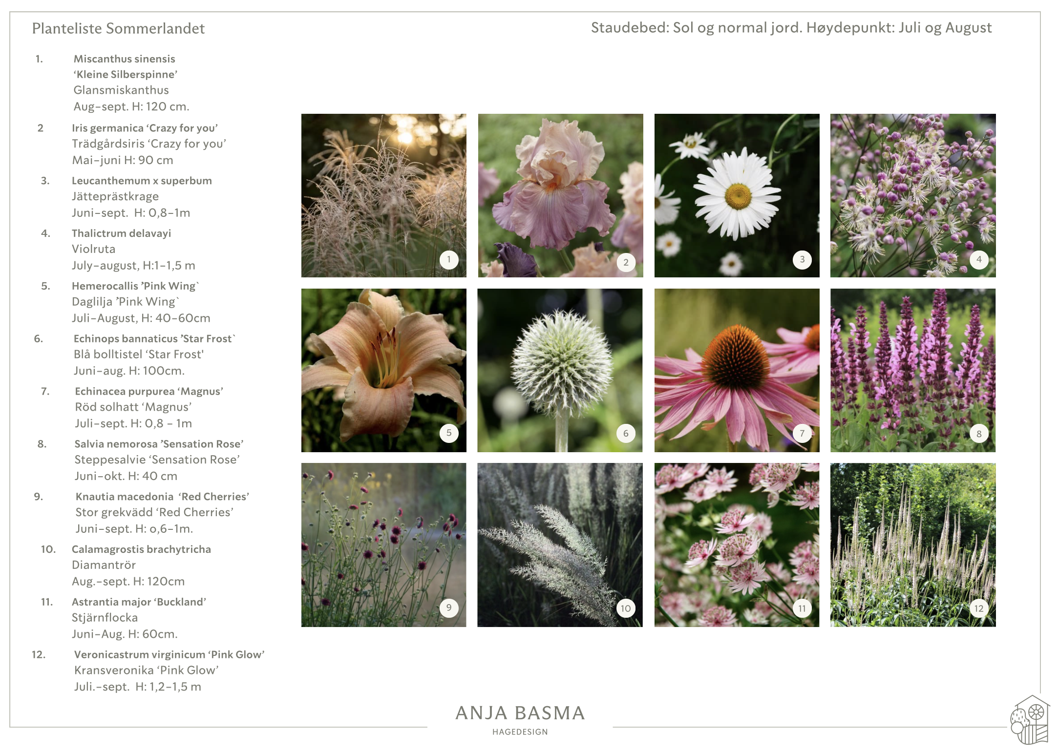 Beplantningsplan for en hage.