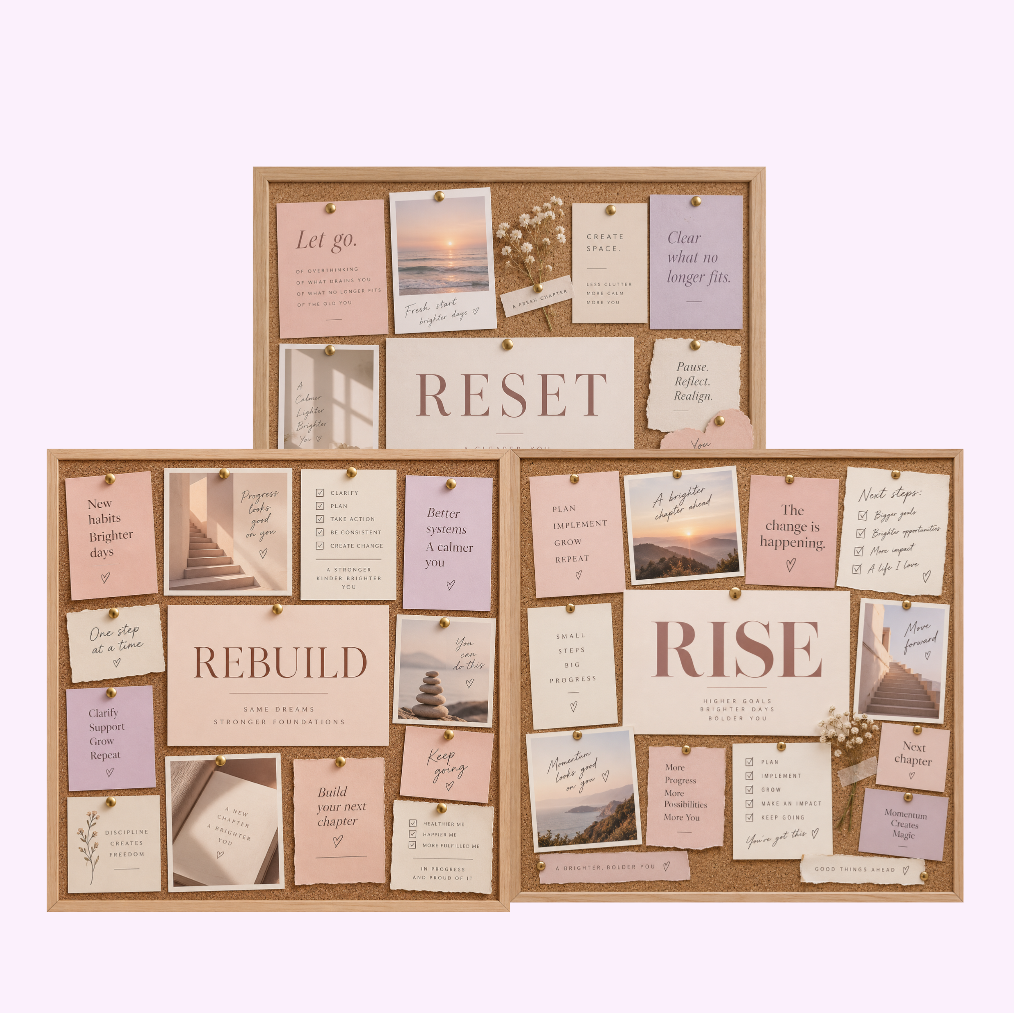 PROGRAMA - RESET. REBUILD.RISE