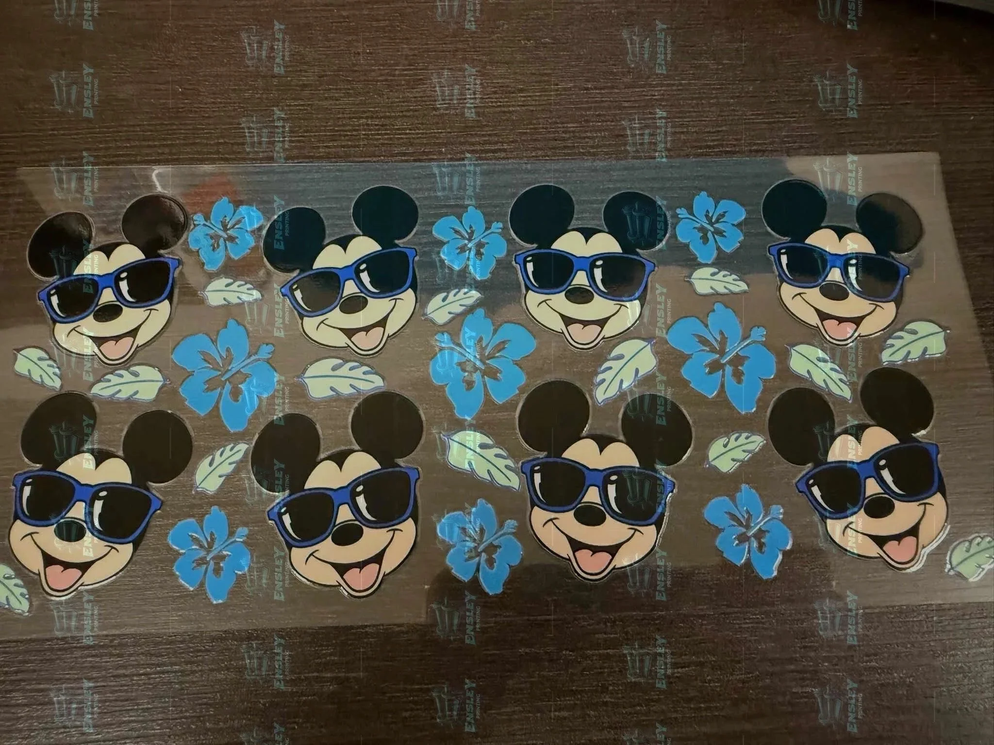 Mickey Mouse vinyl