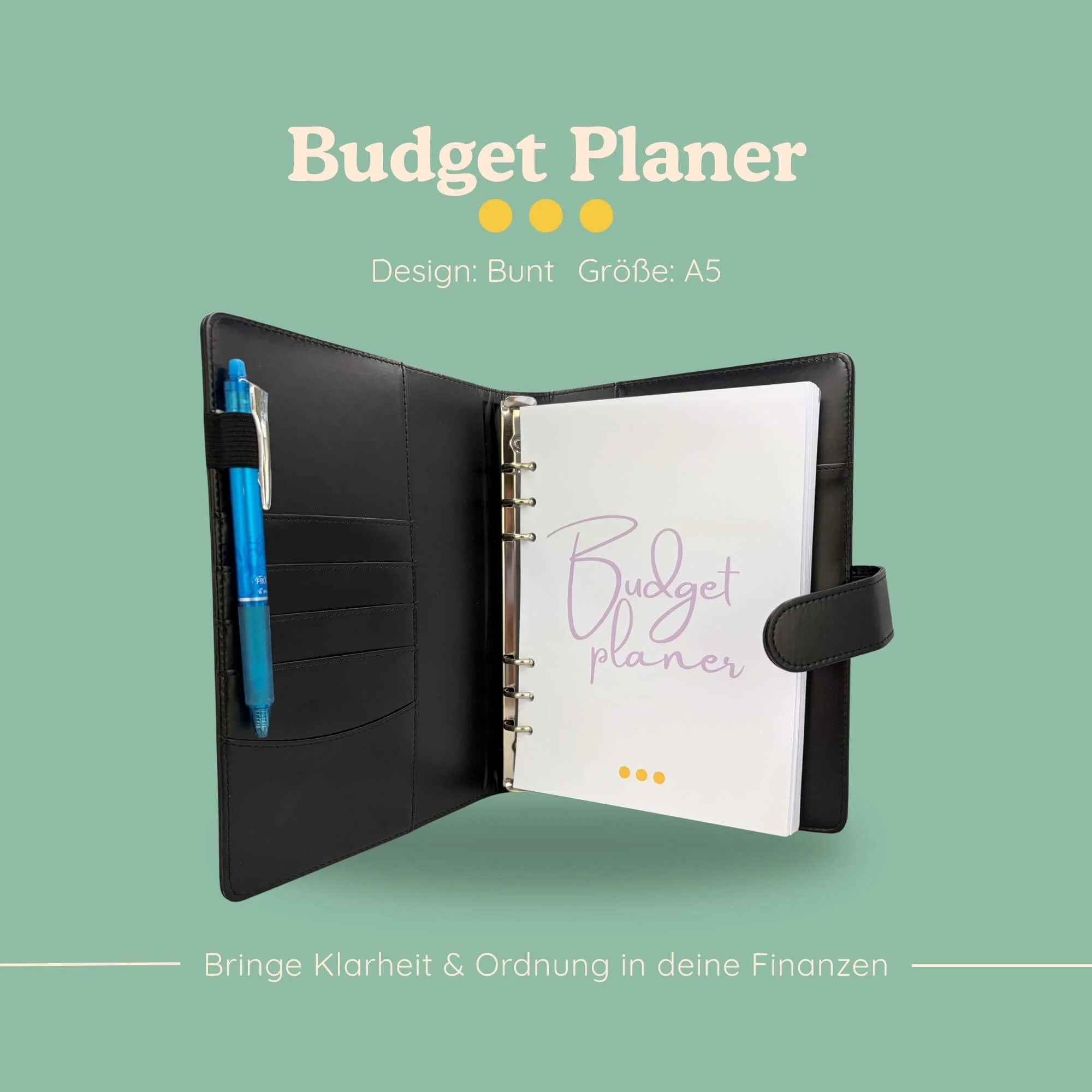 Budget Planer Bunt