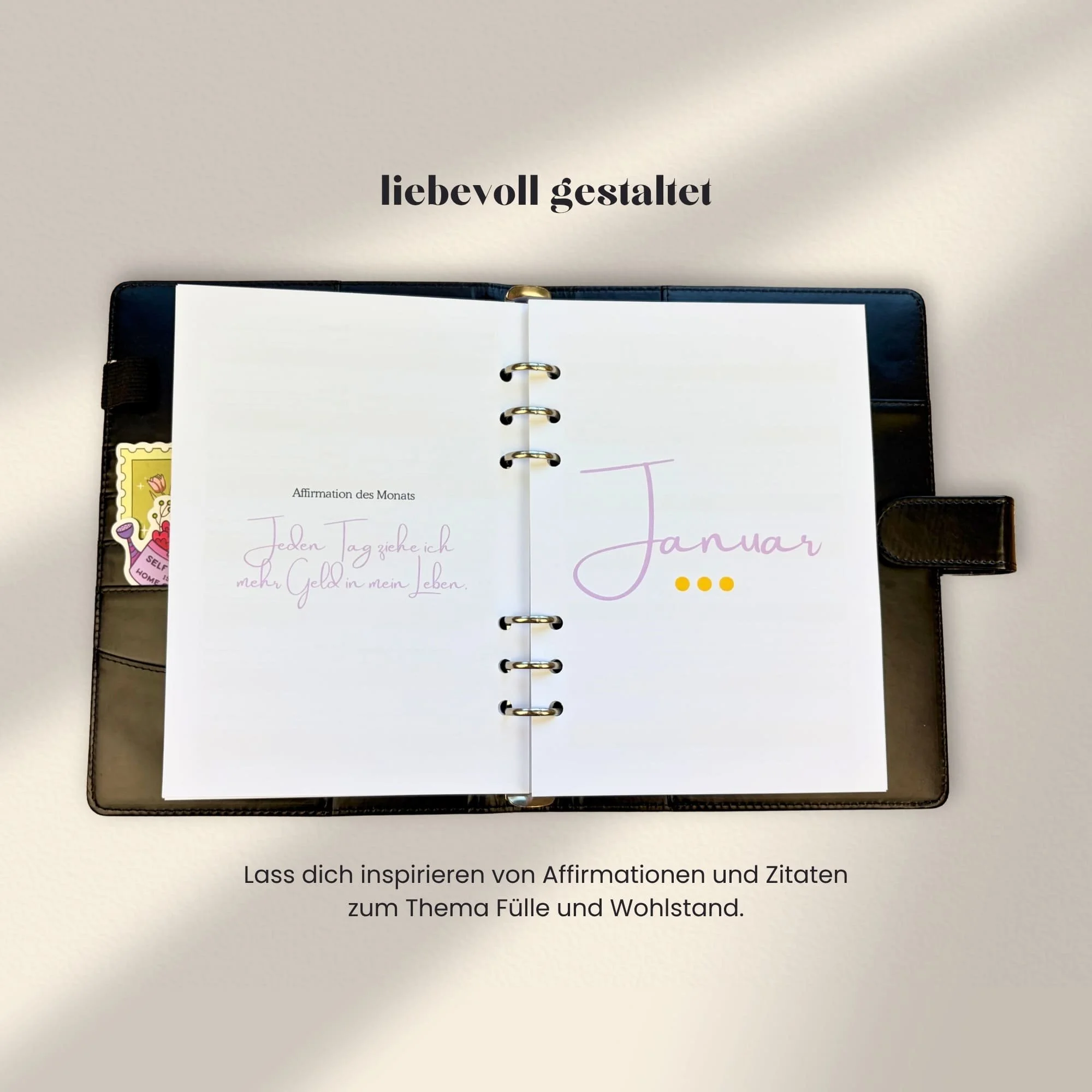 BudgetplanerJOY3.jpg