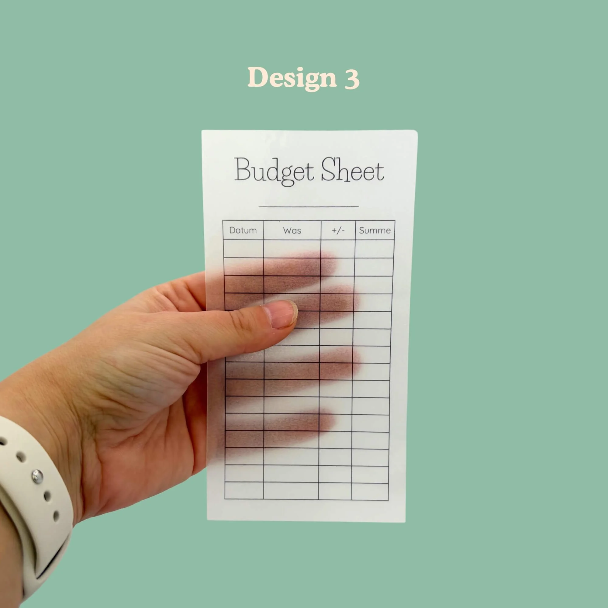 BudgetSheets-Transparent-5.jpg