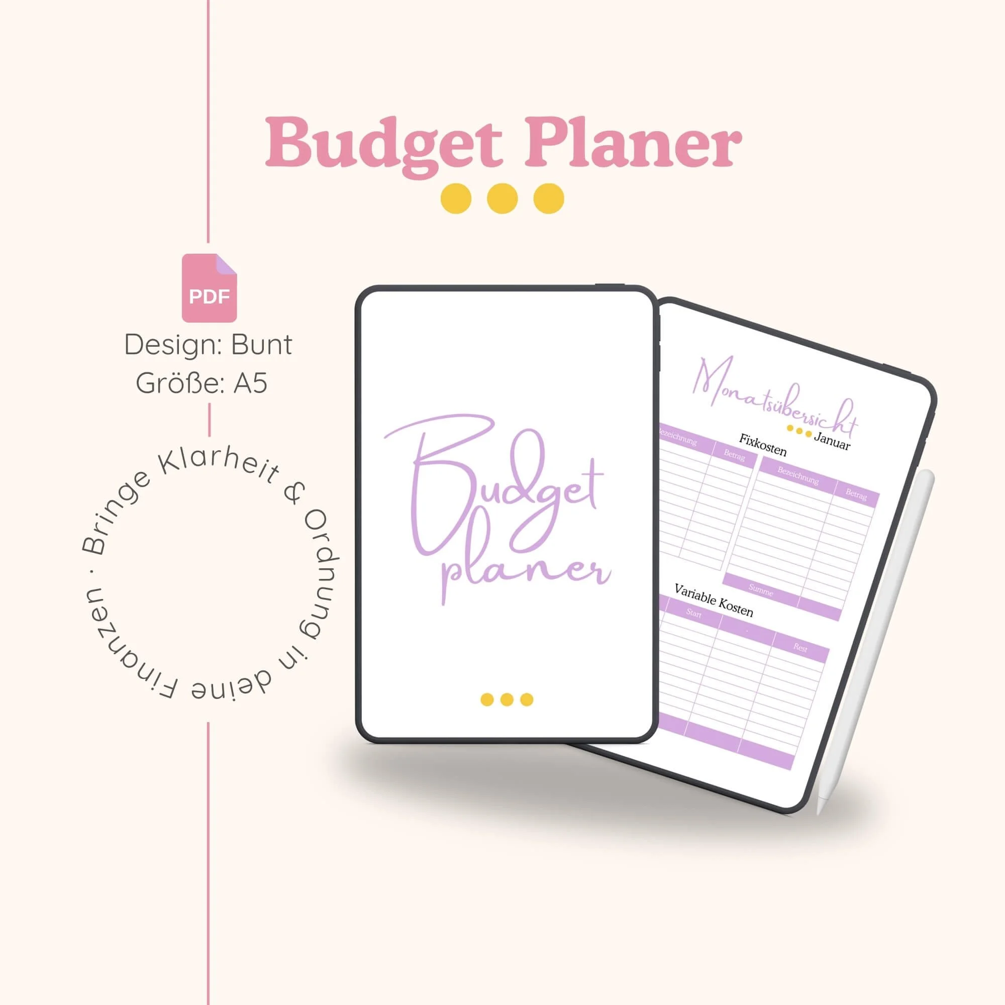Budget Planer Bunt
