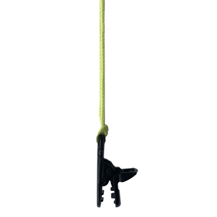 cord 3.png