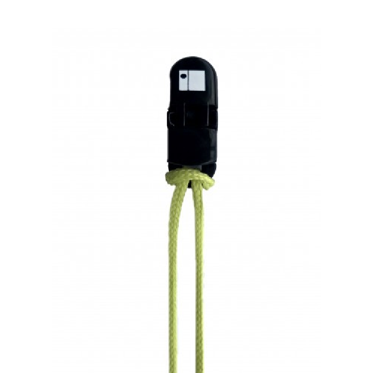 Cord & Clip