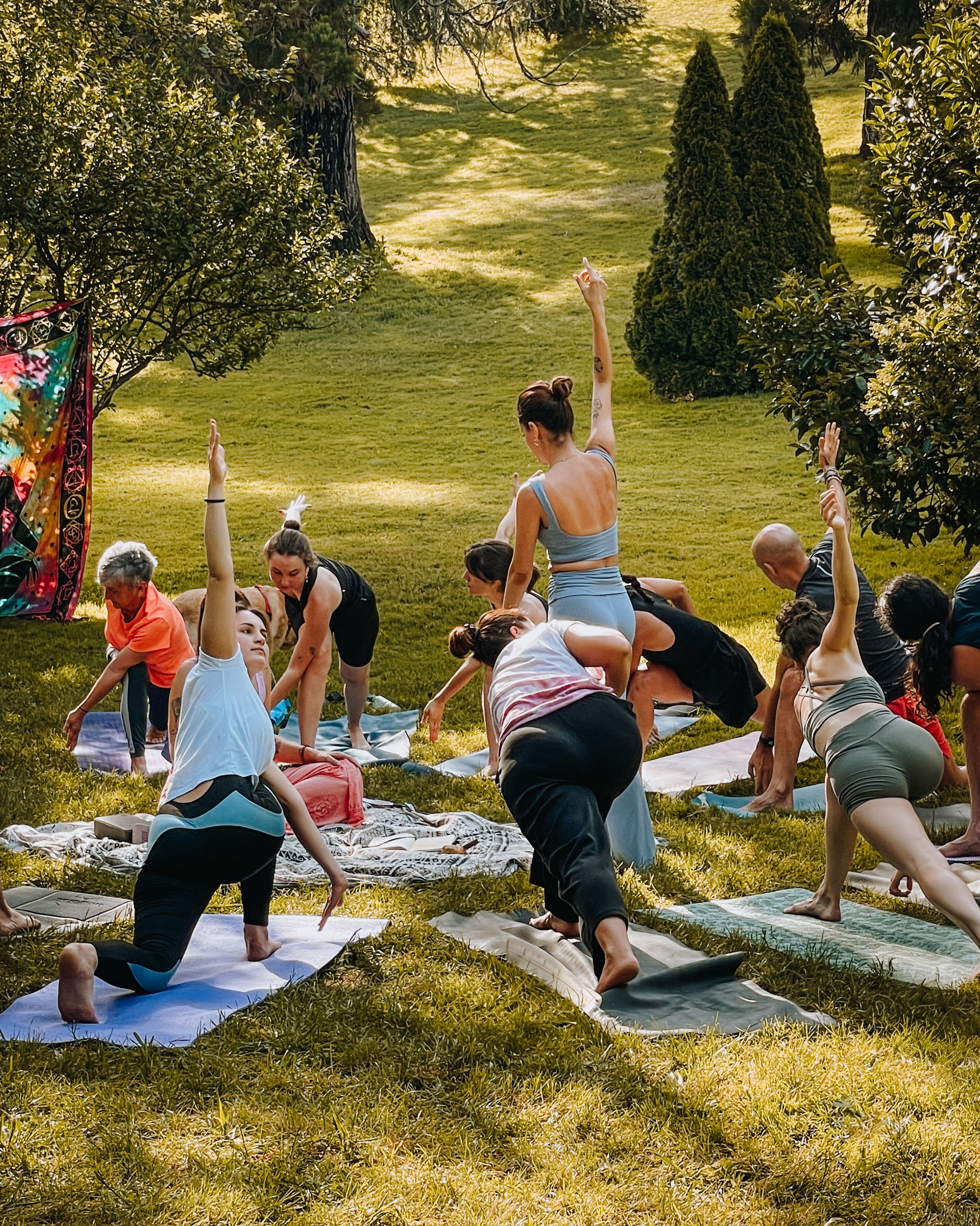 Outdoor group yoga class in parque del oeste, people practicing yoga on mats in nature in Madrid