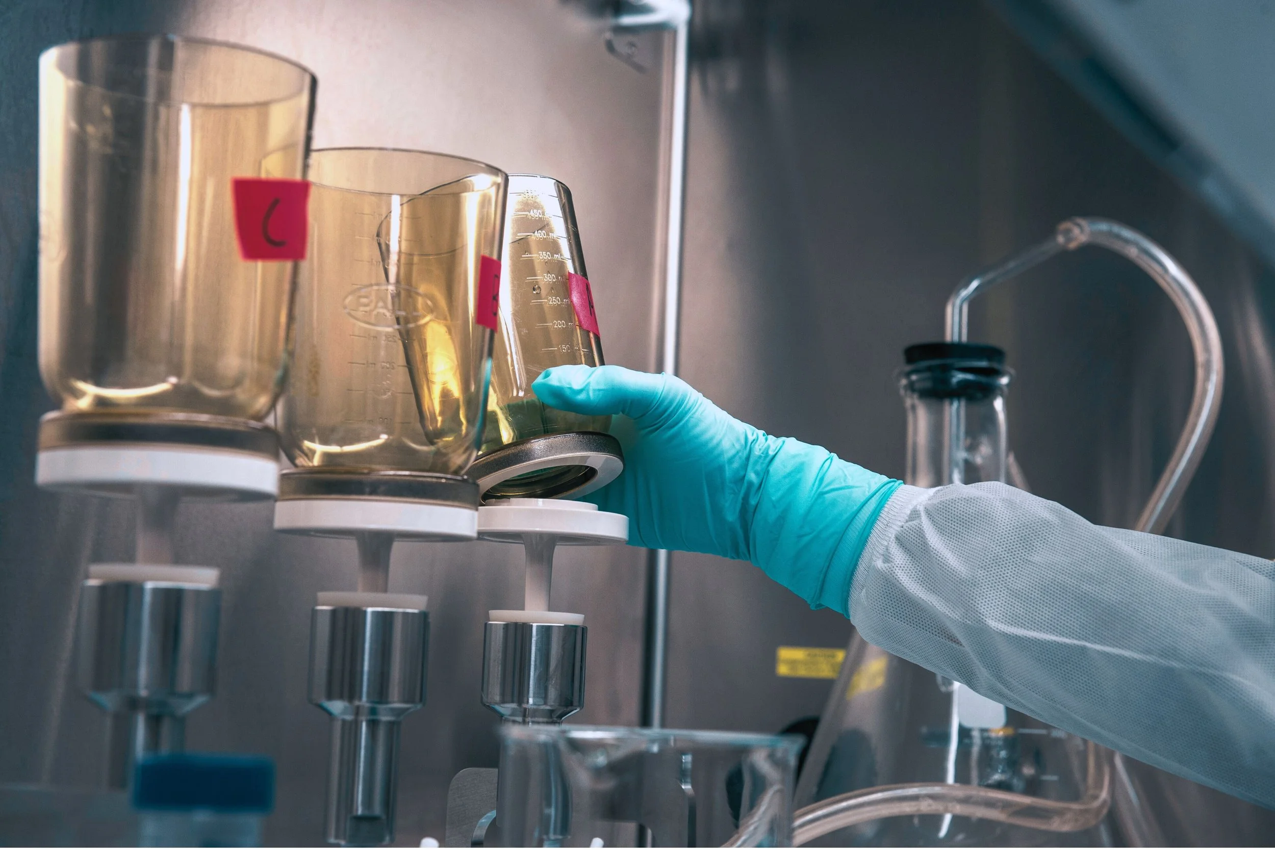 Hands with gloves doing testing in lab