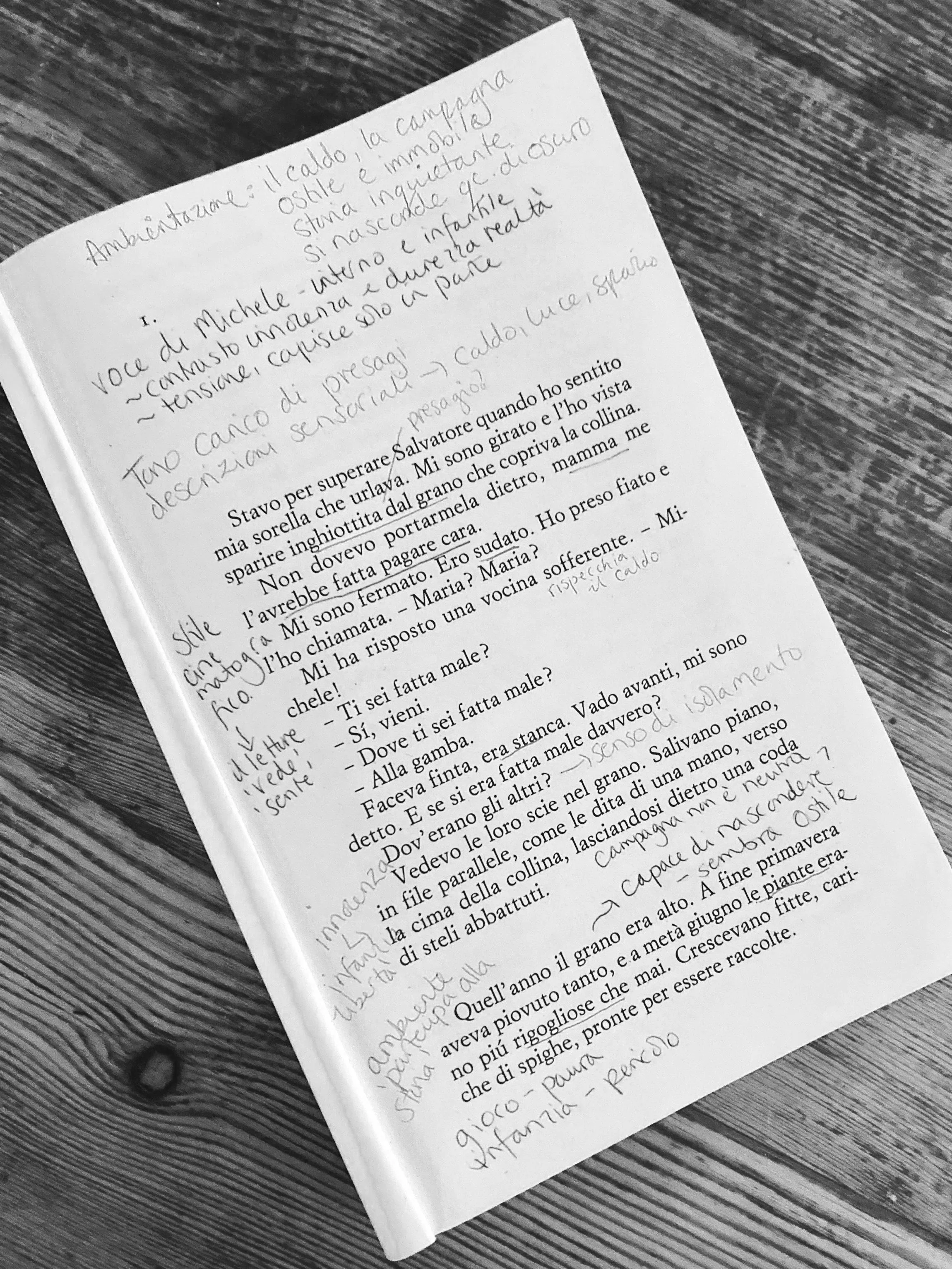 Italian annotated text Linguathinking