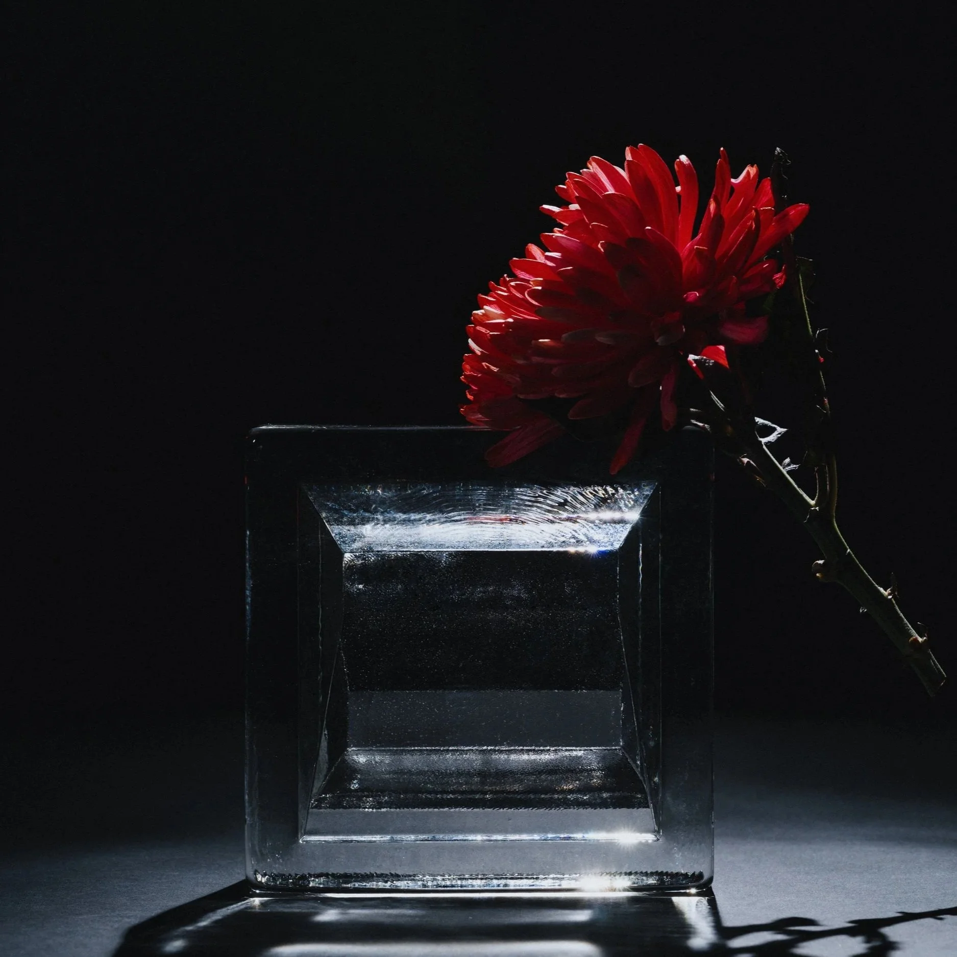 Clear square glass block 