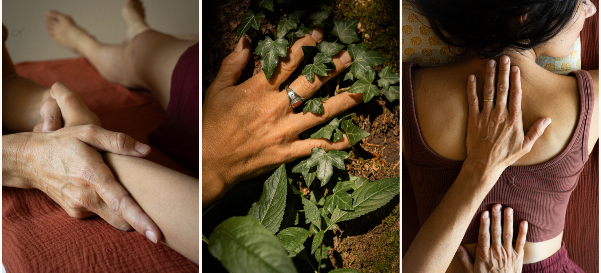 deux photos : séance de fasciathérapie, main du thérapeute laurence Stenzin sur le poignet d'un patient, sur le dos d'un patient et une photo en nature :main sur le tronc d'un arbre
ambience intime et chaleureuse du soin