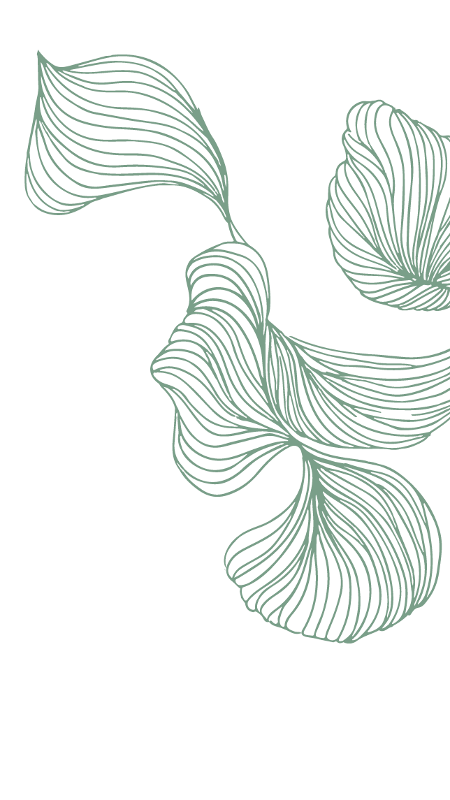 Illustration minimaliste de feuilles stylisées en lignes fines, fond noir.