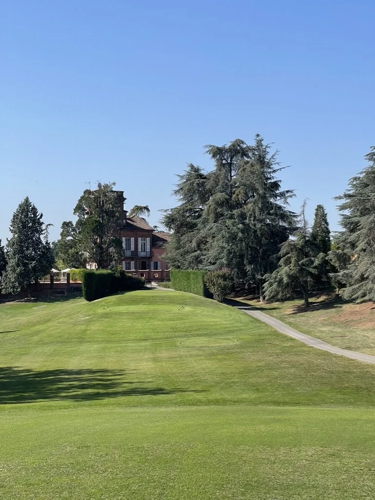 Gazon met bomen en een huis op de achtergrond onder een blauwe hemel.