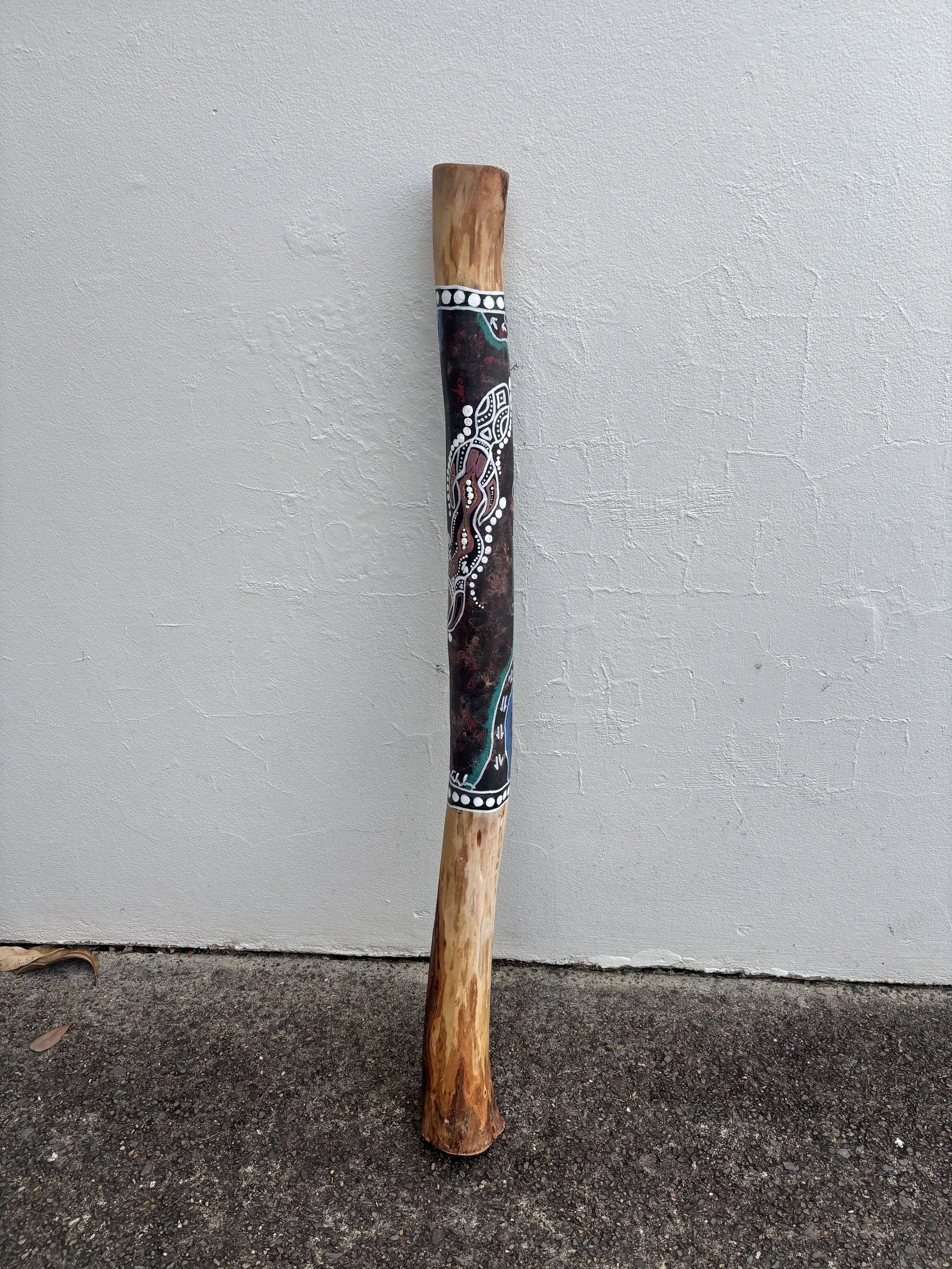 Bandu Student Hand Painted Didgeridoo